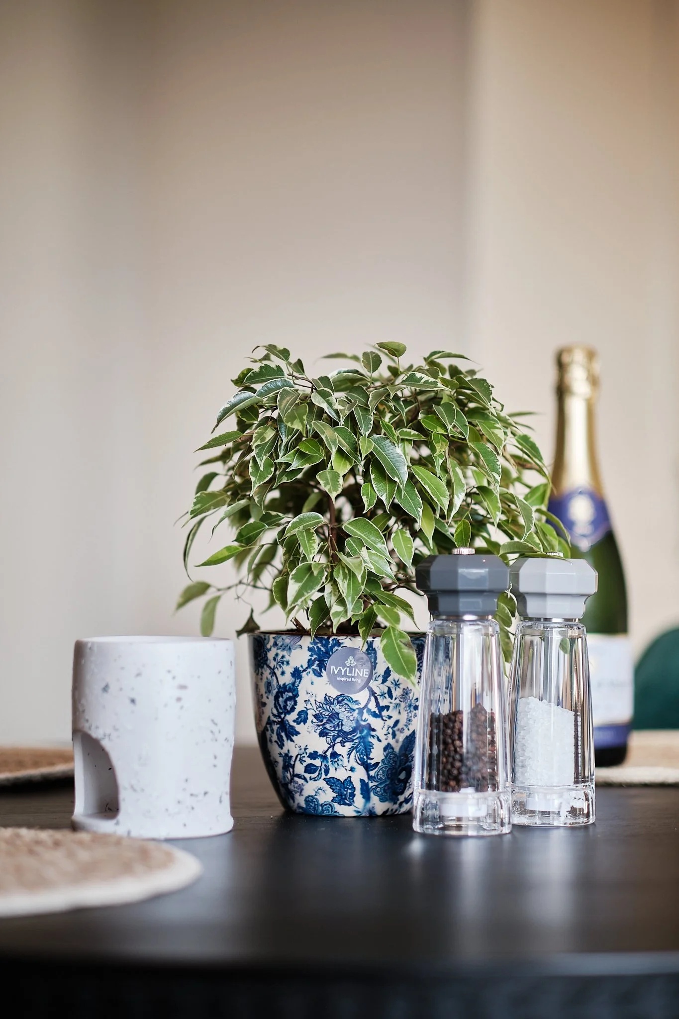 A decorative indoor scene with a potted variegated plant, salt and pepper shakers, a white ceramic object, a bottle of champagne, and a small round woven placemat on a dark table.