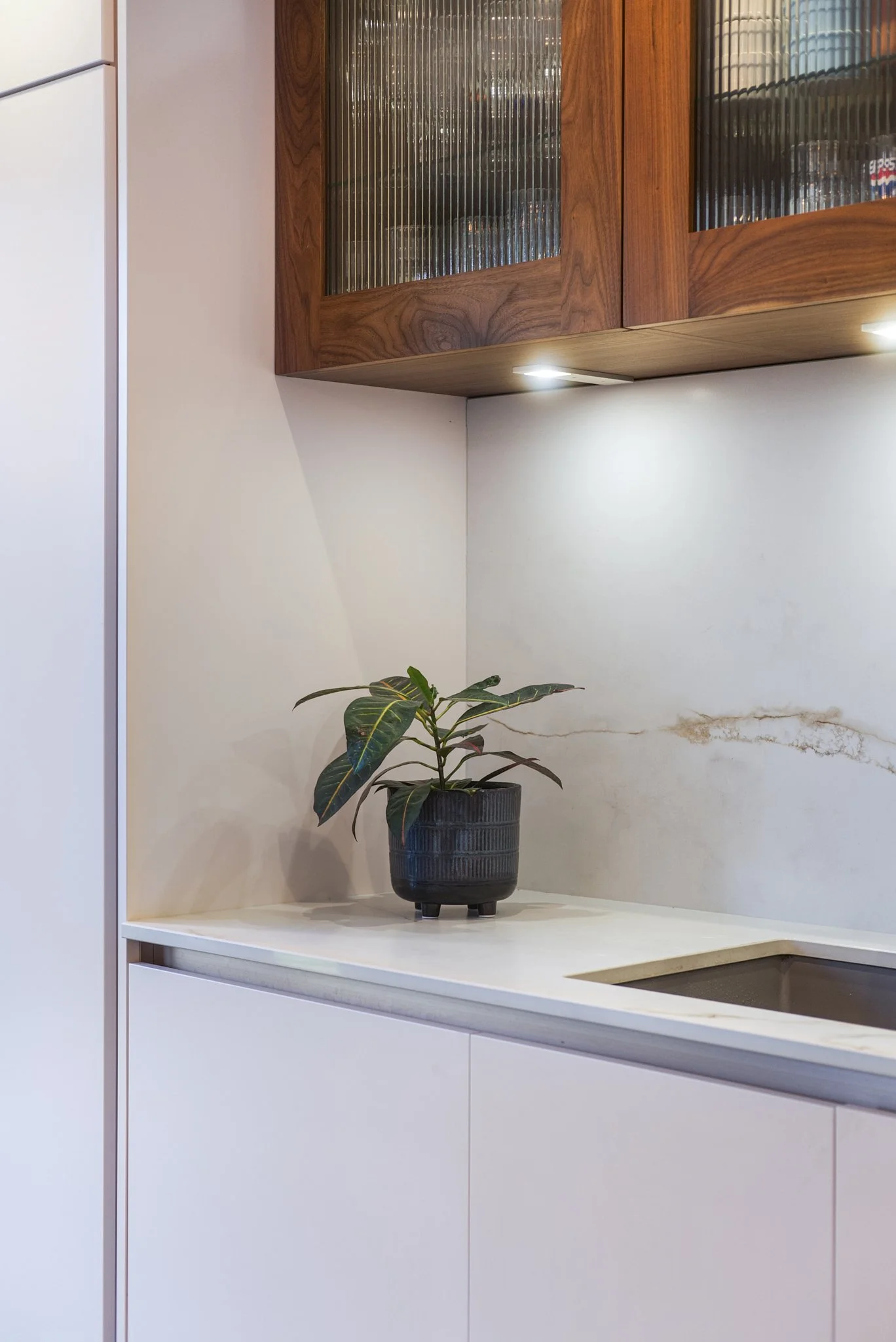 A small potted plant with dark green leaves placed on a white kitchen countertop. Wooden cabinets with glass doors are above, with kitchen lights illuminating the area.