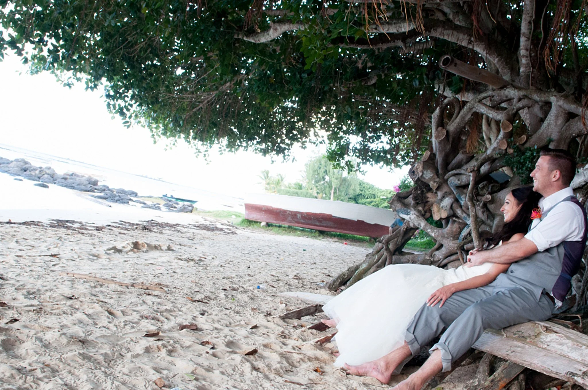 A couple in wedding attire sitting under a large tree on a sandy beach, smiling and enjoying the outdoors.