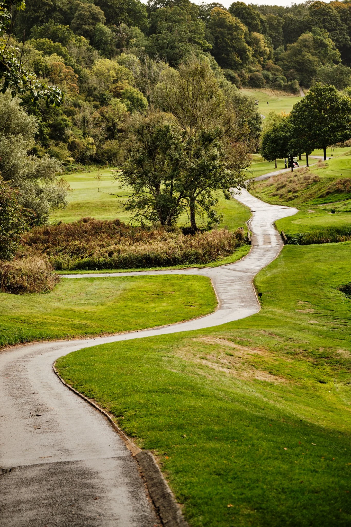 A winding paved path through a lush green golf course with trees and rolling hills in the background.