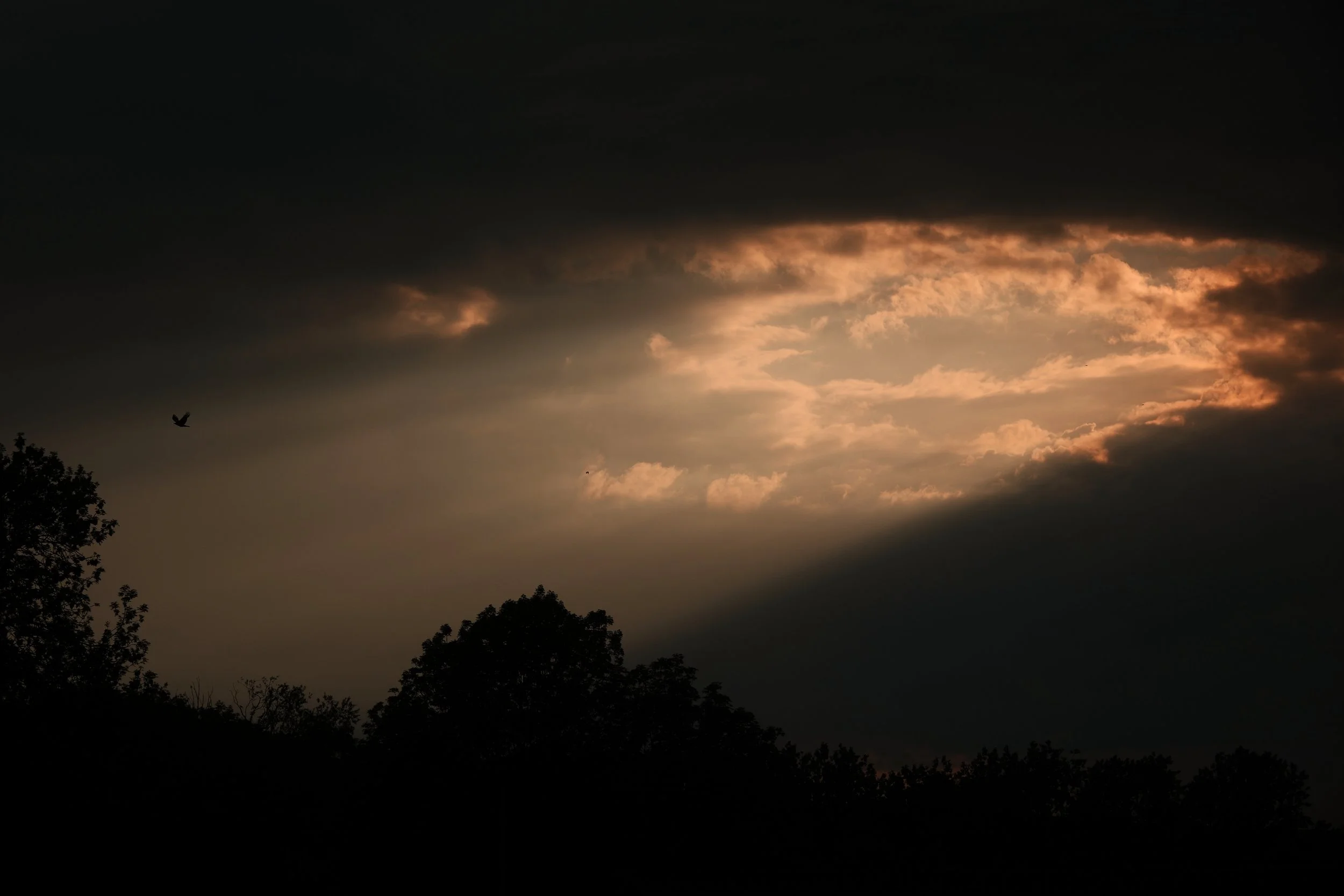 A dark sky with a break in the clouds revealing a glowing, orange-tinted opening, surrounded by darker clouds. Silhouette of trees at the bottom and a bird flying in the sky.
