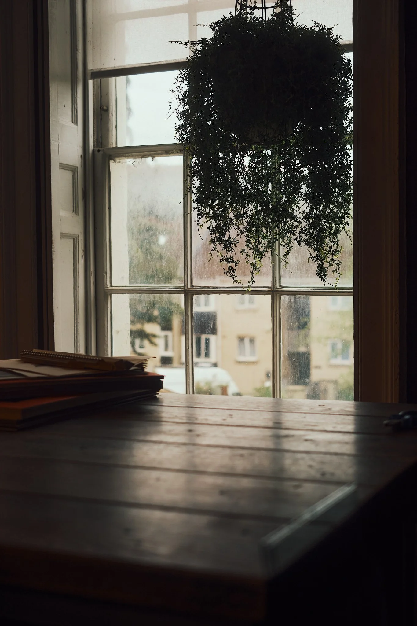A view through a window showing a hanging plant and an outdoor scene with a building and cars, with a desk and stacked papers inside.