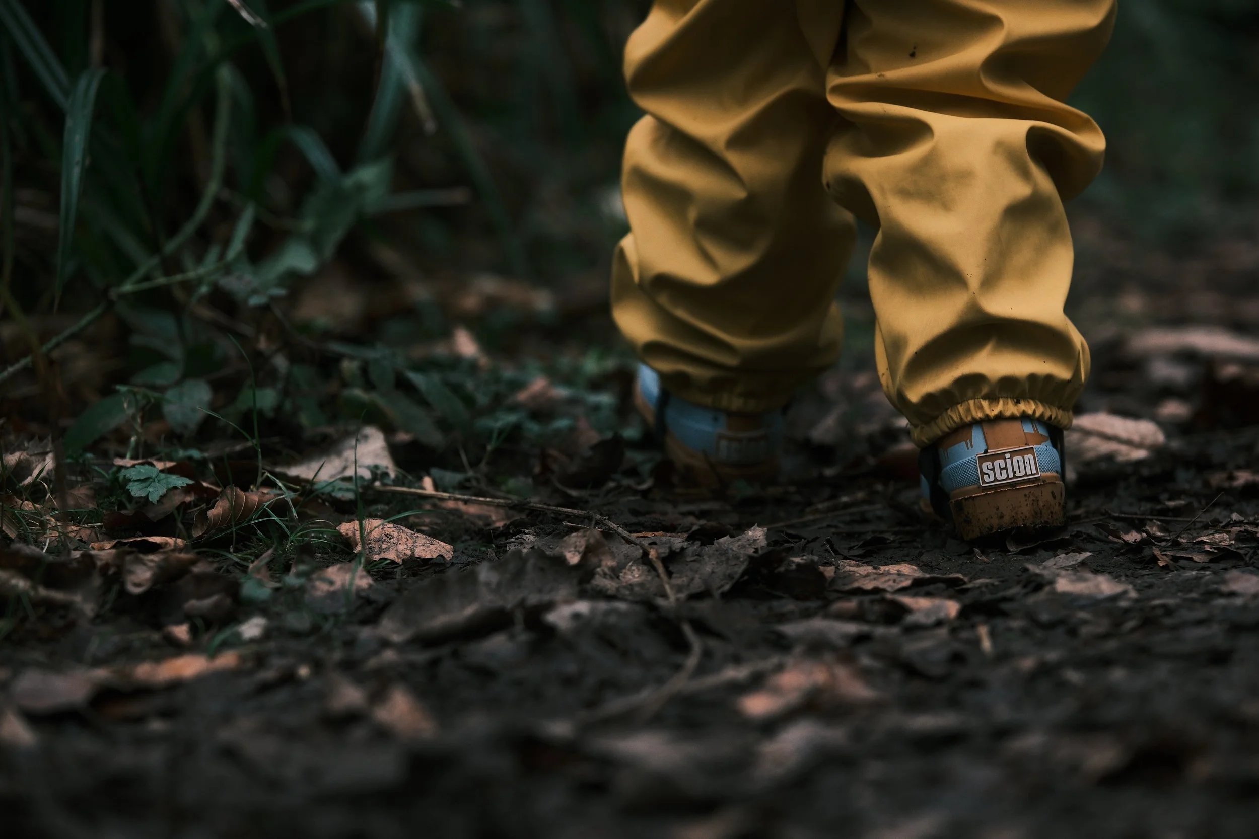 Close-up of a person's yellow boots stepping on a forest trail covered with leaves and twigs, surrounded by green foliage.