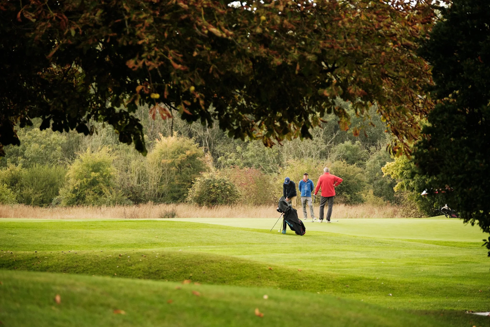 Three people on a golf course, two are standing on the green while one is leaning on a golf club. The scene is framed by tree branches at the top and bushes in the background.