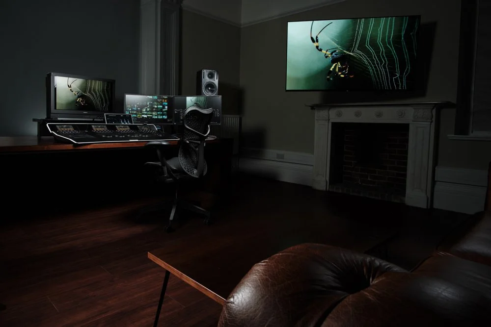 A dark sound editing studio with multiple monitors, audio mixing equipment, a chair, and a large screen displaying a nature scene with a spider.