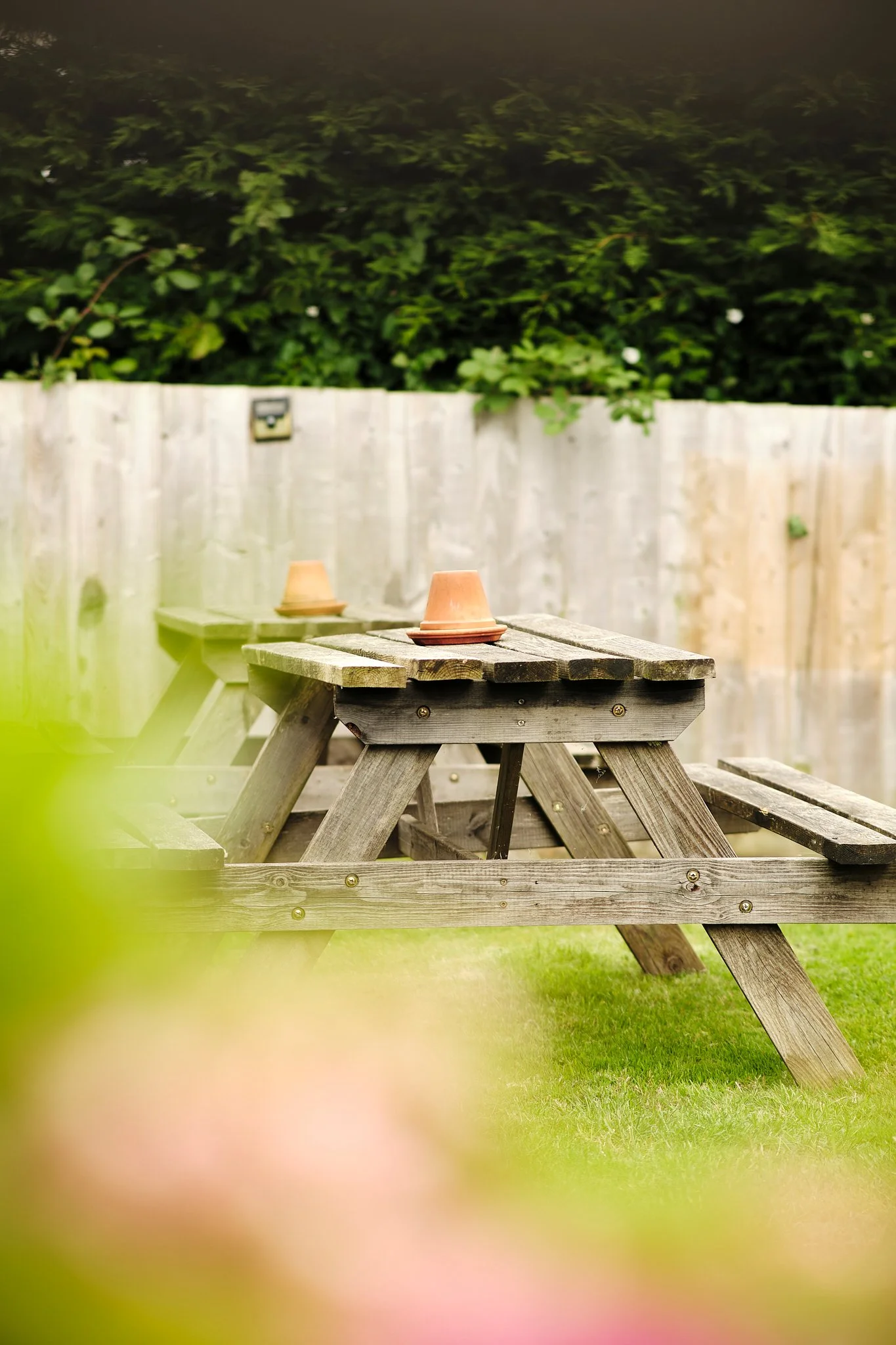 A wooden picnic table with terracotta plant pots on top, located in a backyard with a wooden fence and green shrubs.