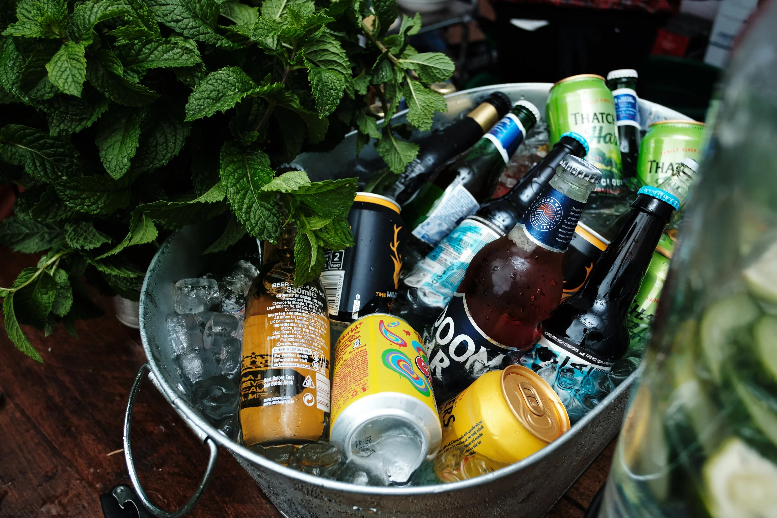 A metal bucket filled with ice and various unopened cans and bottles of beer and soda, surrounded by green leafy mint plants.