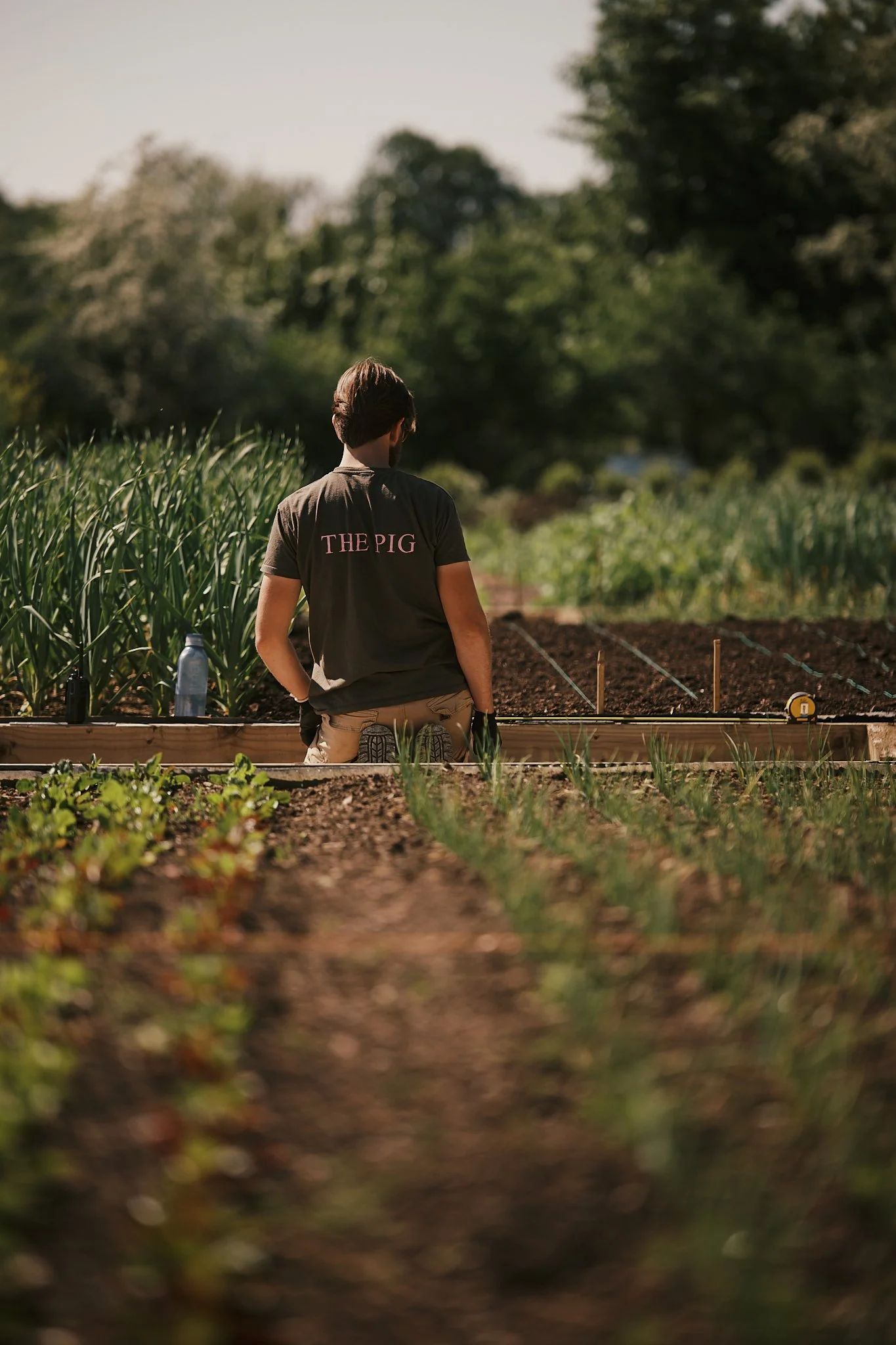 A person with dark hair, wearing a black t-shirt with 'THE PIG' printed on the back, is kneeling on the ground in a garden or farm, tending to crops with tall green plants nearby and a treeline in the background. Hotel interior photography at THE PIG