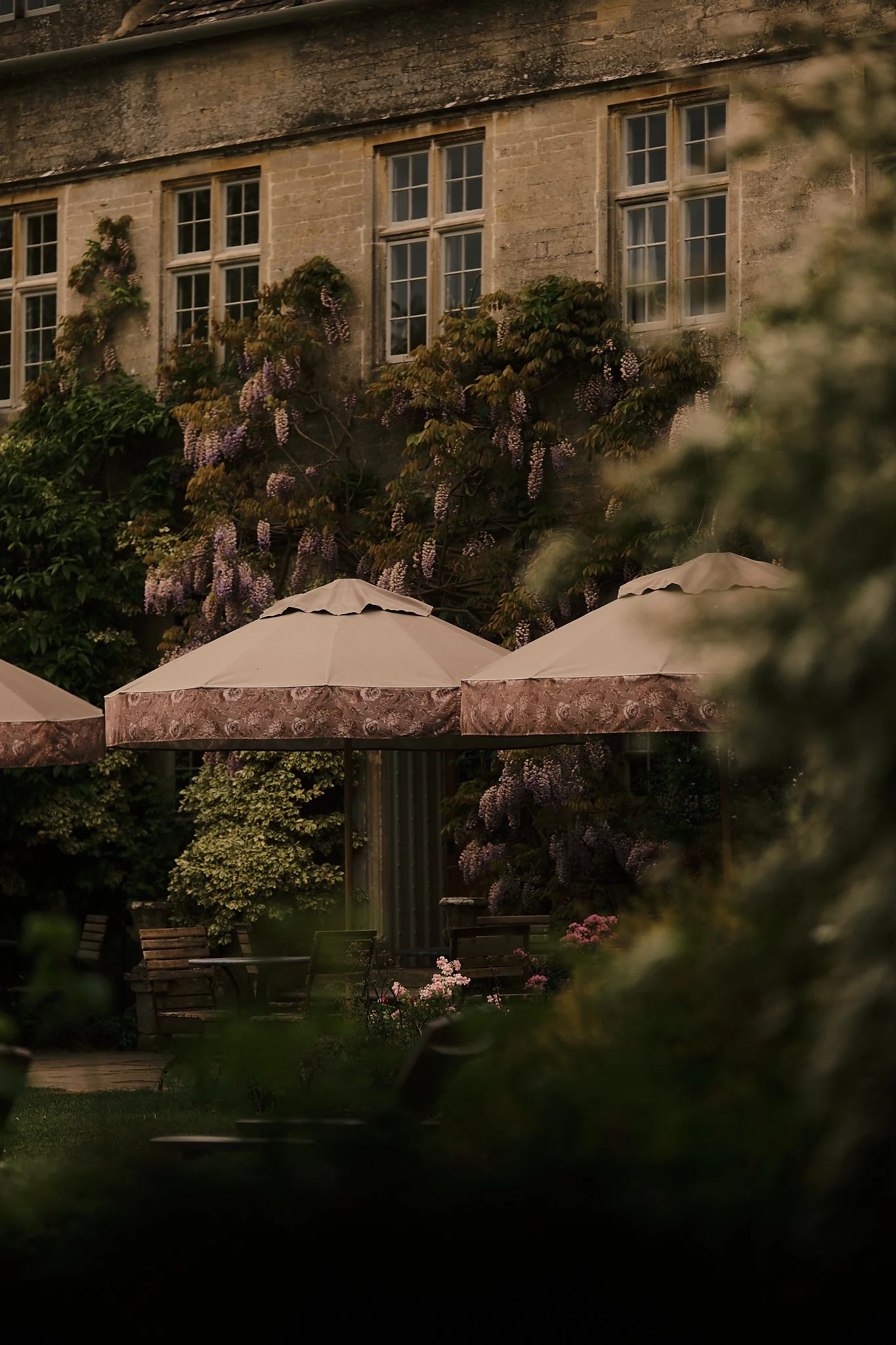 An outdoor garden patio with wooden benches, umbrellas, and lush greenery with flowering plants, in front of an old stone building with multiple windows and climbing purple flowers. Hotel interior photography at THE PIG-in the Cotswolds