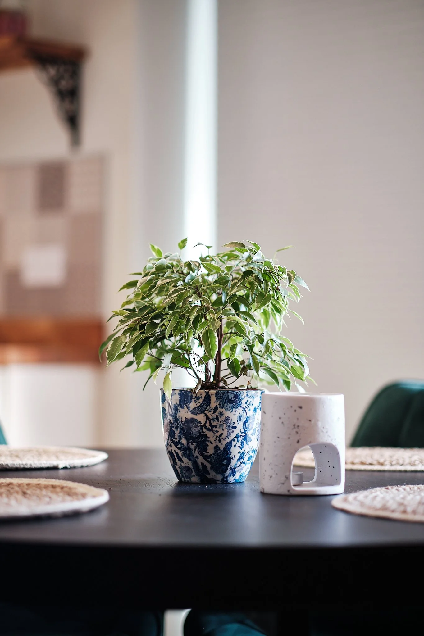 A potted green plant with variegated leaves on a dining table, accompanied by a white ceramic candle holder or small sculpture, with woven placemats around.