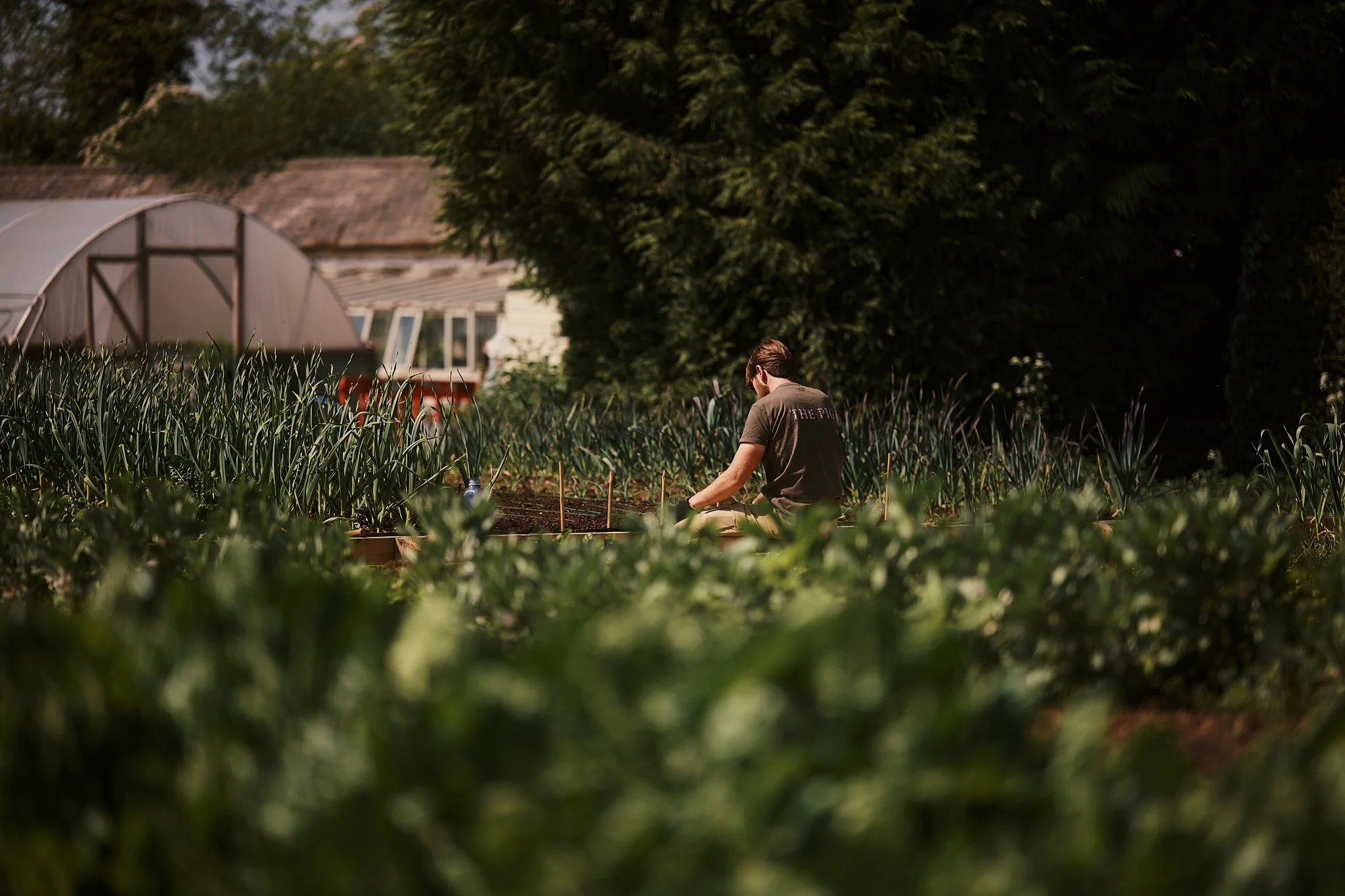 A person kneeling and working in a garden with lush greenery, raised garden beds, and a greenhouse in the background. Hotel interior photography at THE PIG-in the Cotswolds