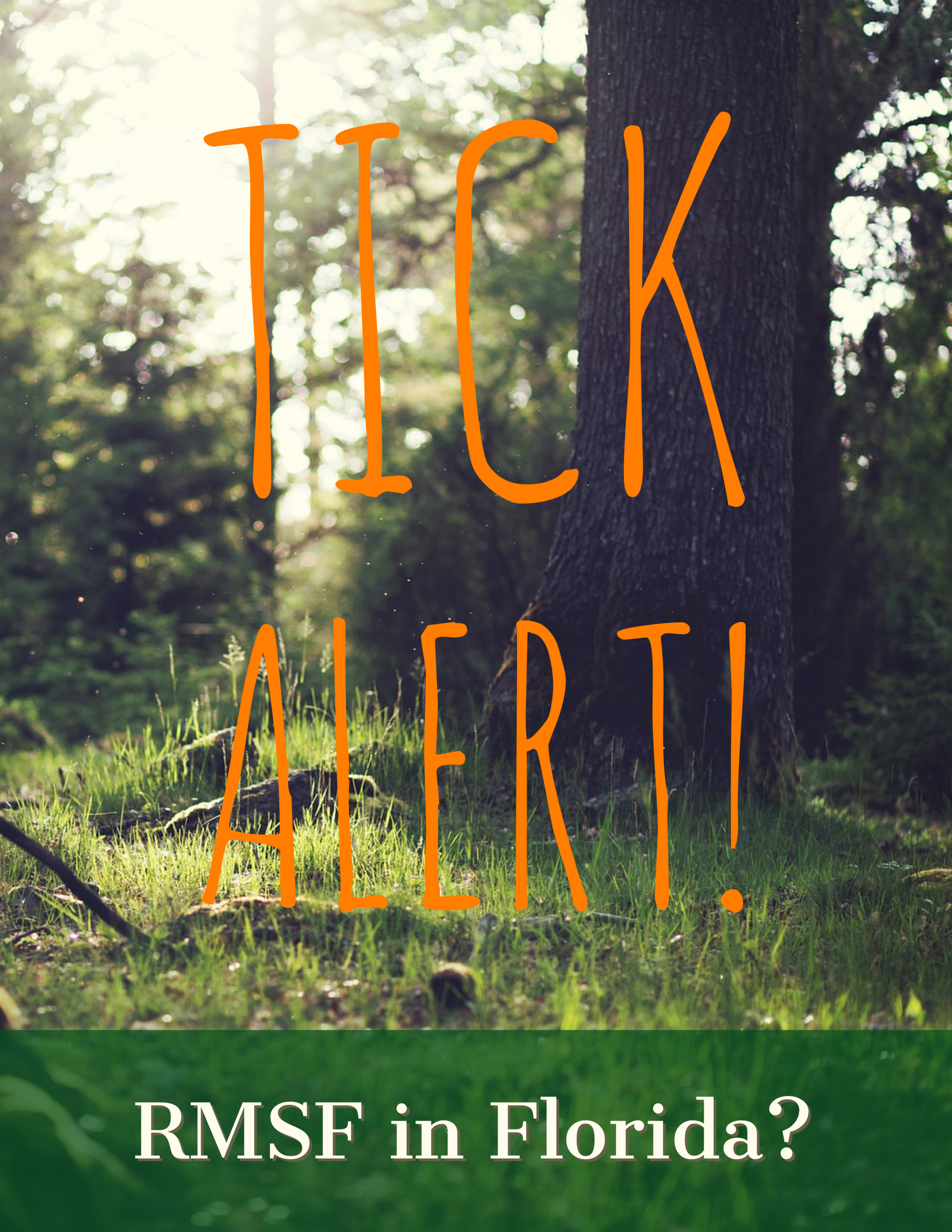 TICK ALERT – Rocky Mountain Spotted Fever is On the Rise!