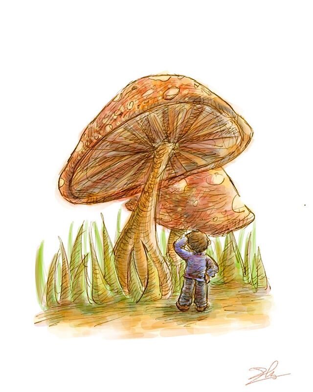 &ldquo;The sudden appearance of mushrooms after a summer rain is one of the more impressive spectacles of the plant world.&rdquo; -John Tyler Bonner
.
.
.
.
#illustration #dailyillustration #digitalillustration #digitalart #procreate #conceptsapp #ch