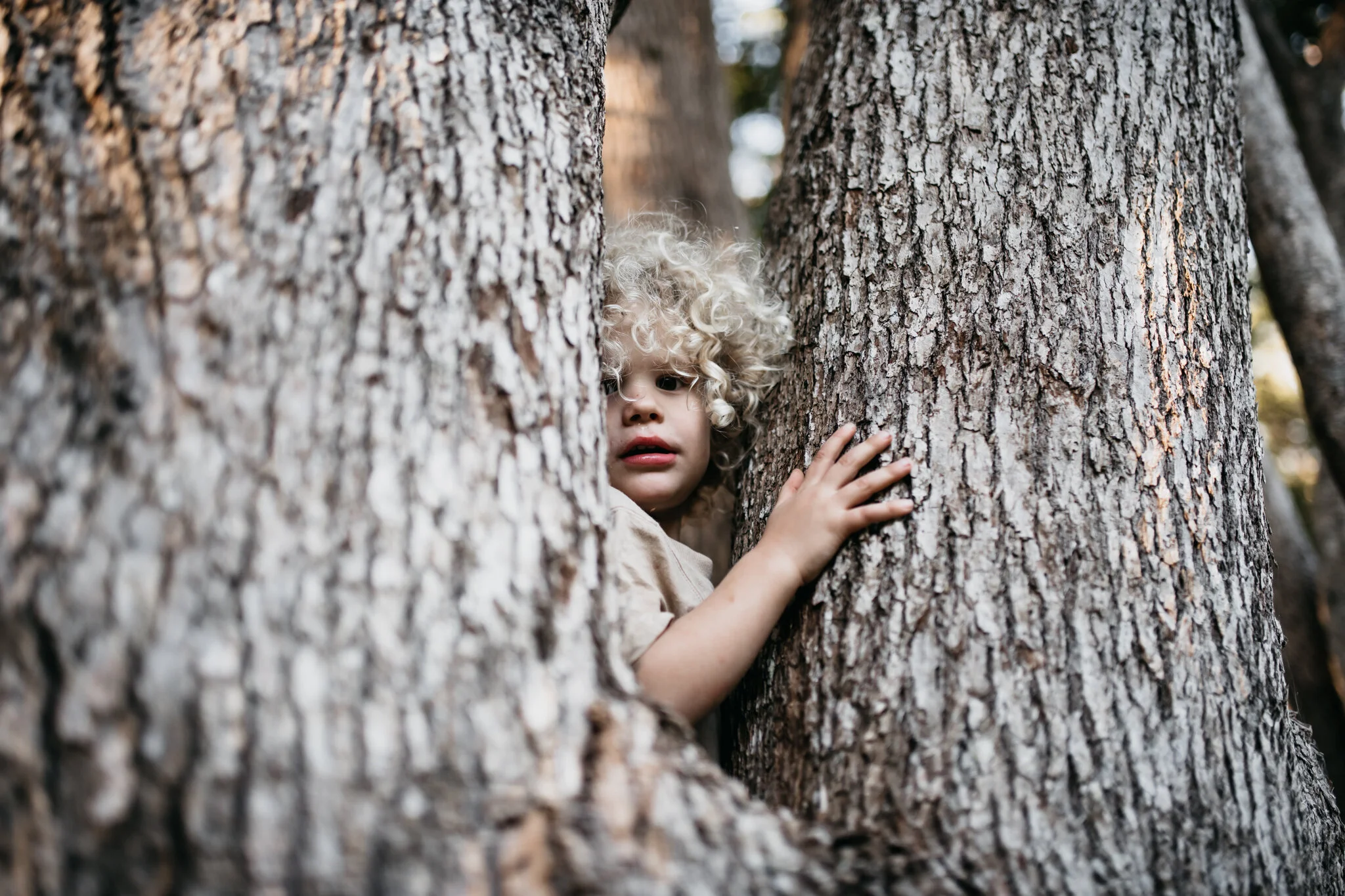 gold-coast-family-photographer-currumbin-the-donovans_20.jpg
