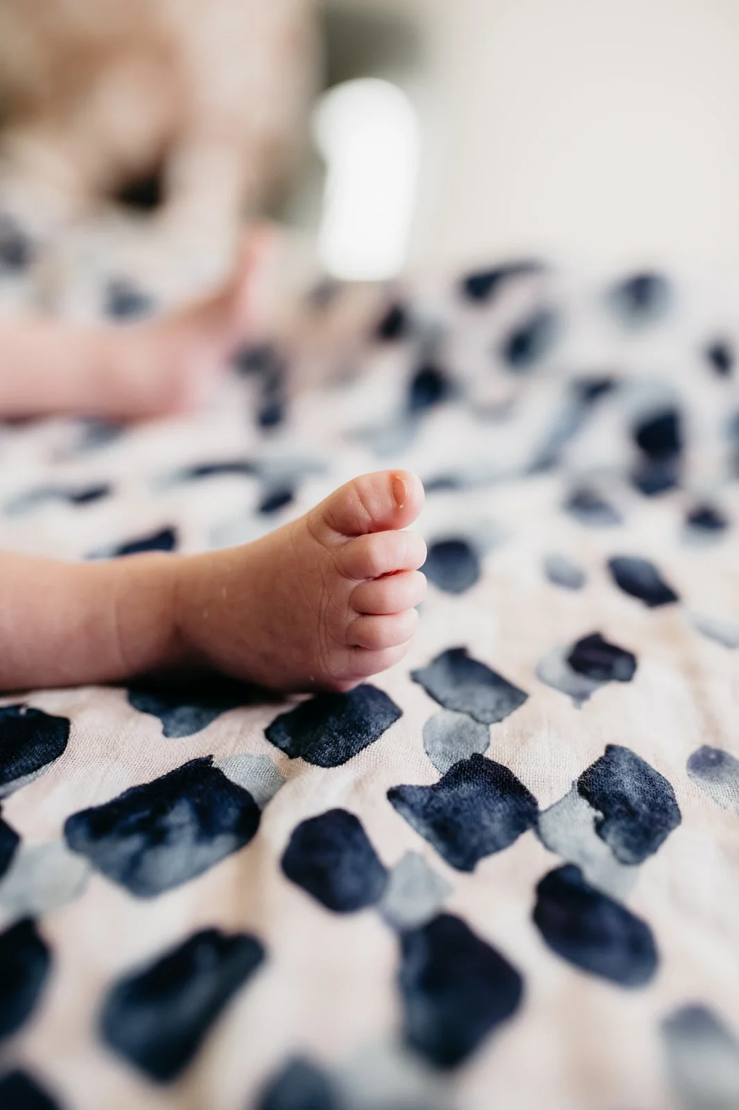 Baby Sebastian_Brooke Darling Photography-061_websize.jpg