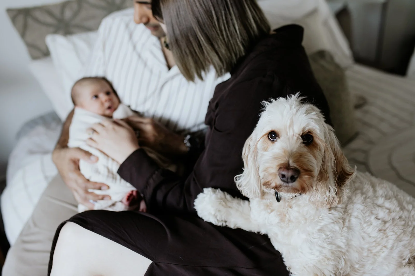 Tweed Heads newborn photographer captures young family at home with baby and dog during Tweed Coast baby photography session.