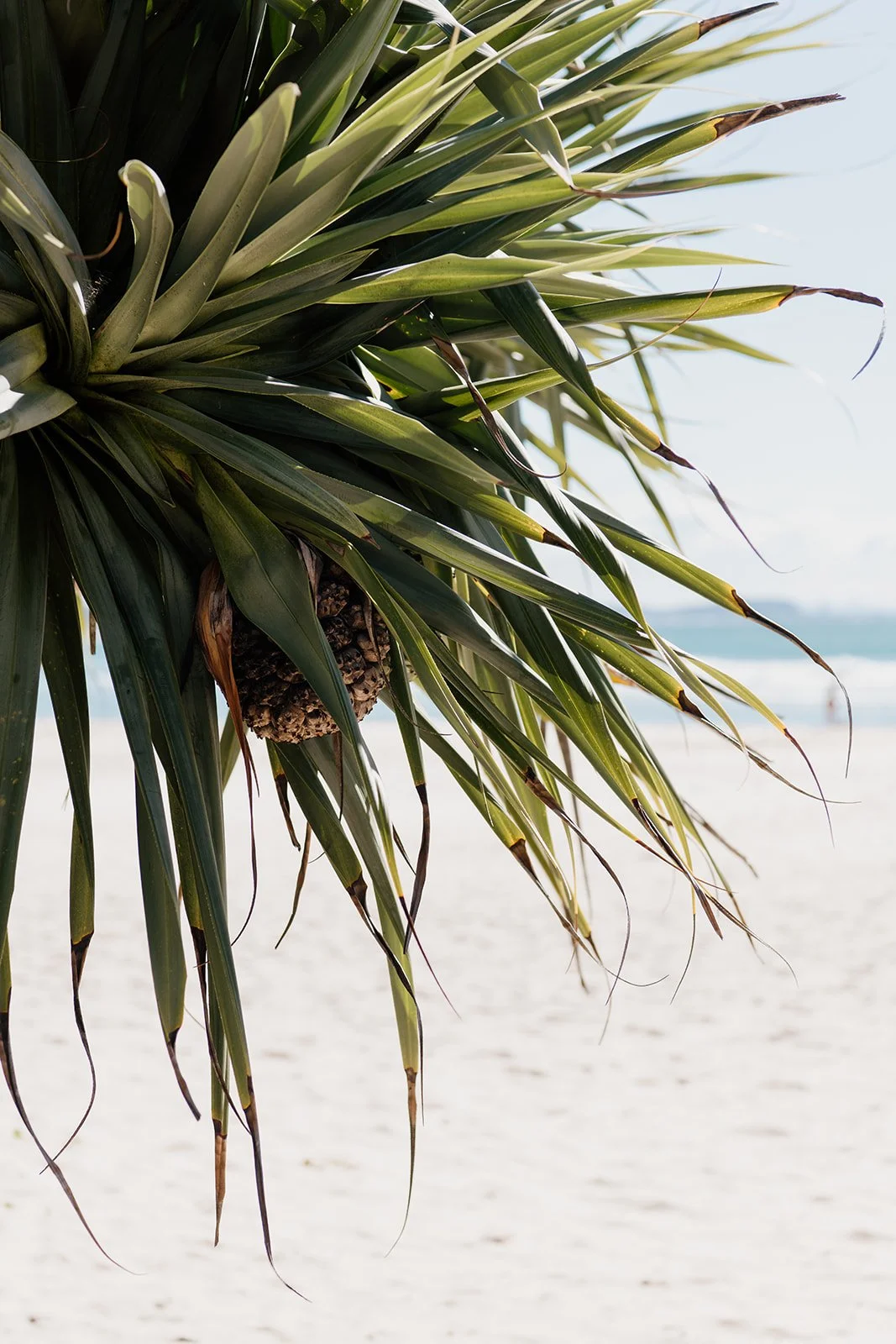 Gold Coast Commercial Photographer_Brooke Darling Photography_21.jpg
