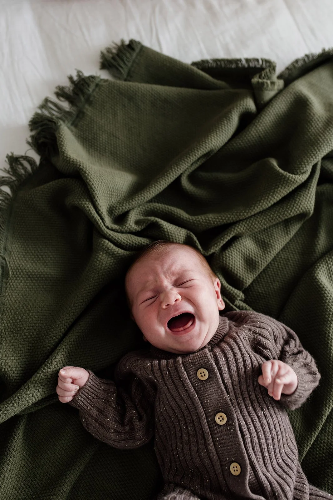 Tweed Coast Newborn Photographer_Brooke Darling Photography_8.jpg