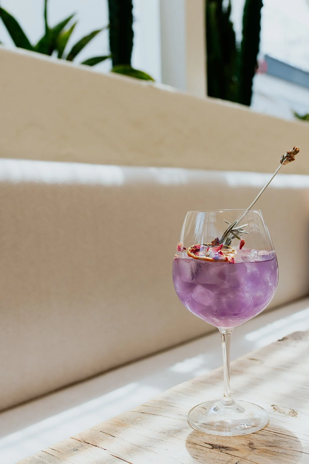 Gold Coast Commercial Photographer_Brooke Darling Photography_27.jpg
