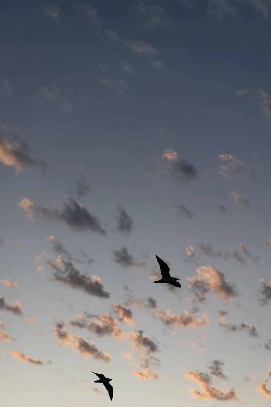Gold Coast Commercial Photographer_Brooke Darling Photography_33.jpg