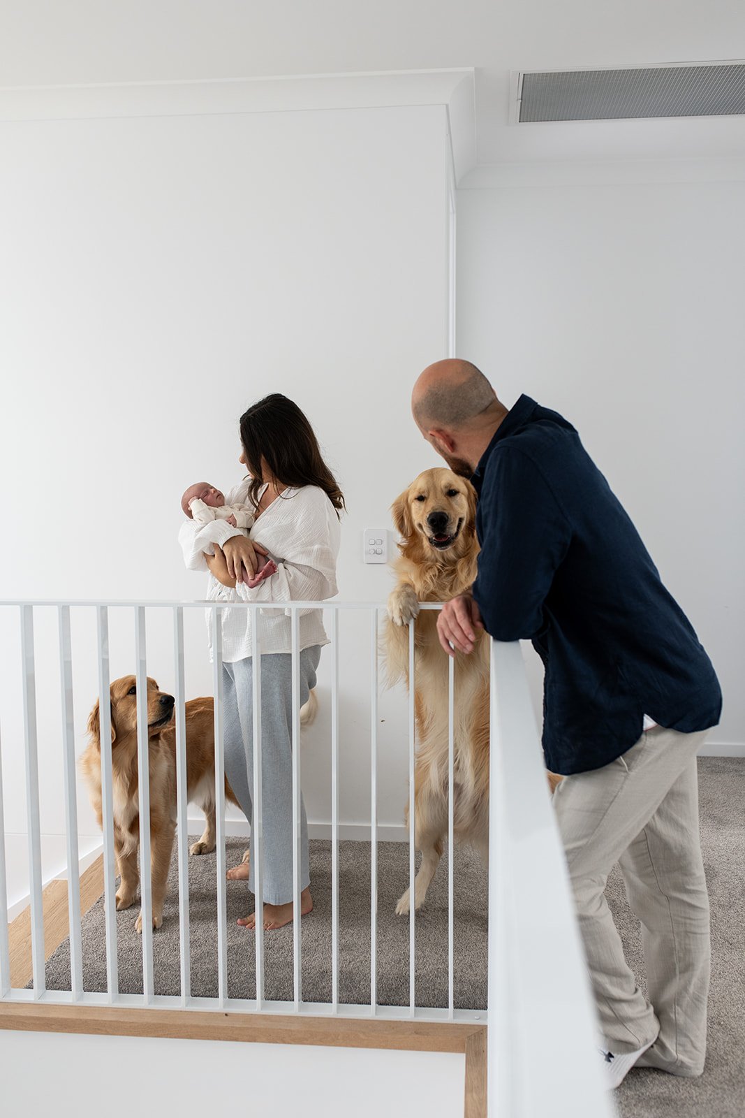 Tweed Coast newborn photo shoot captures parents, dogs and baby at home during Tweed Coast baby photo shoot.