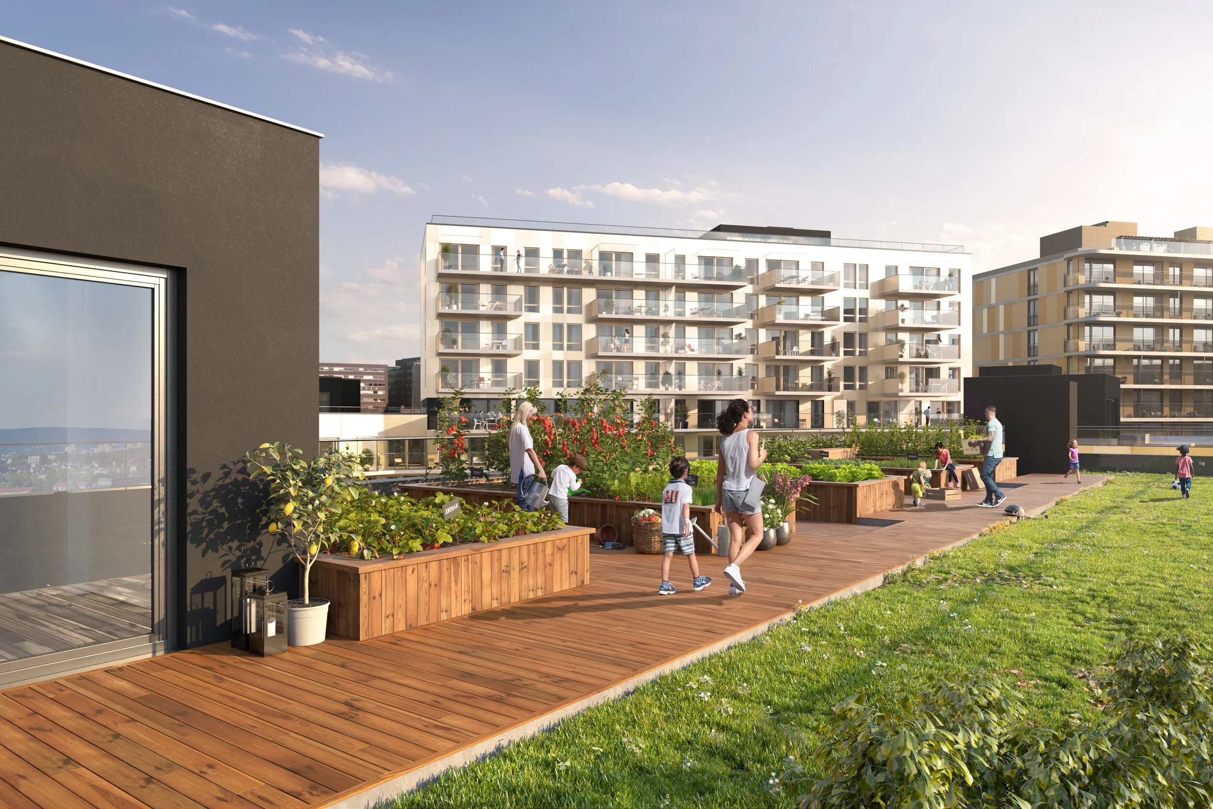 EXT1 - Kj├╕kkenhage.jpg