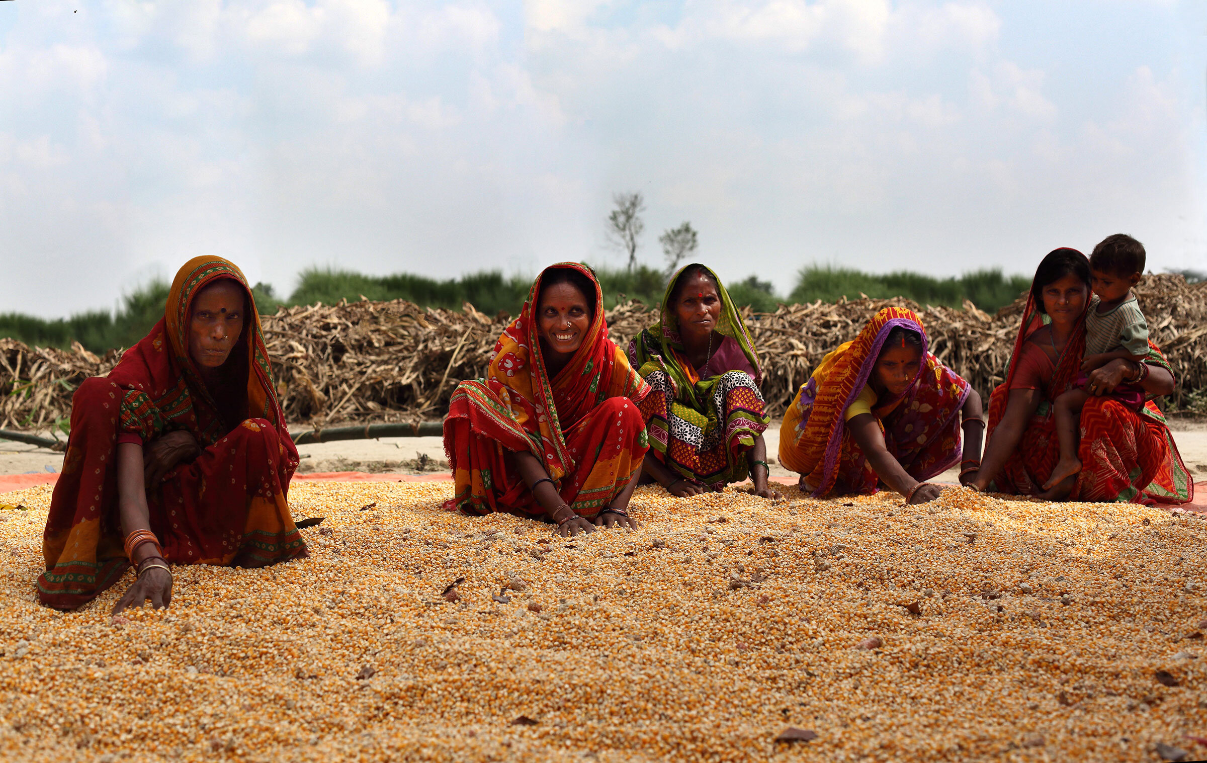 Women corn field workers are empowered by information systems and the changes that technology is bringing. They are aware of the various Government schemes and hope to benefit from agricultural schemes. They are ensuring their official documents a