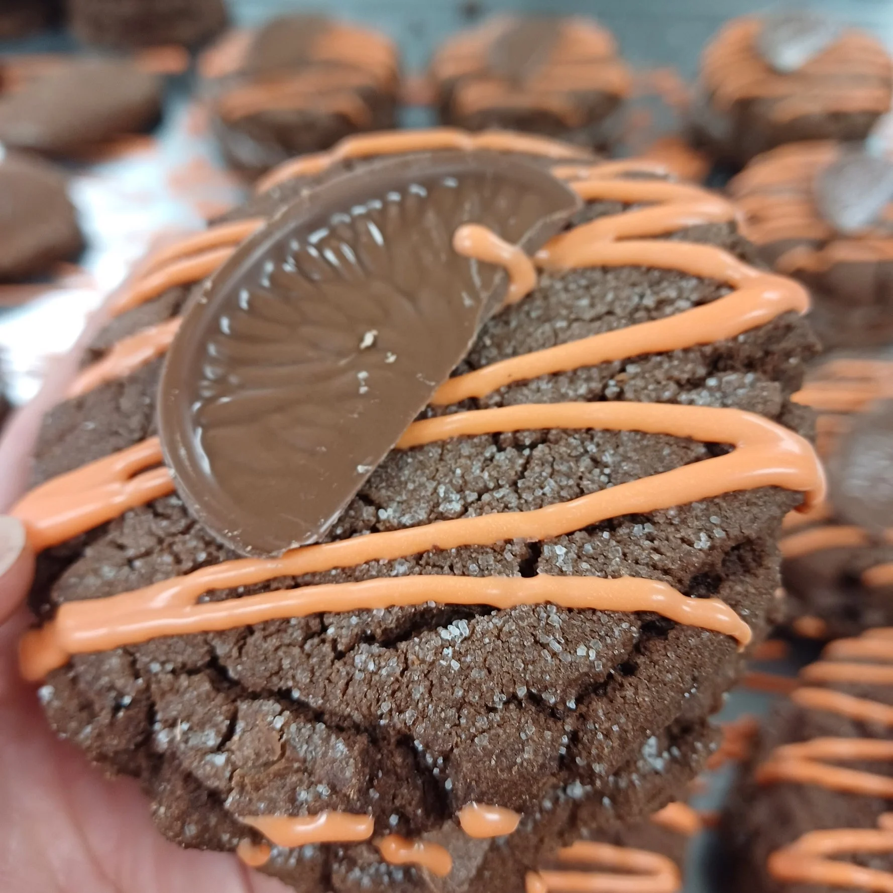 Chocolate Orange CSW.jpg