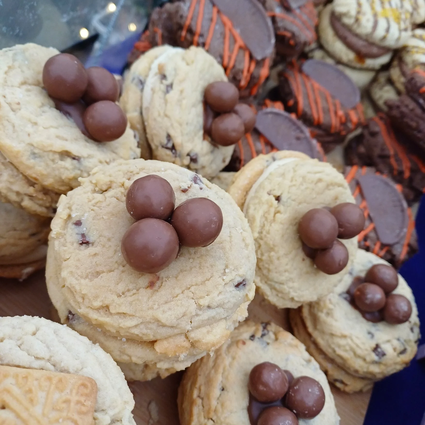 Malteser CSW (5).jpg