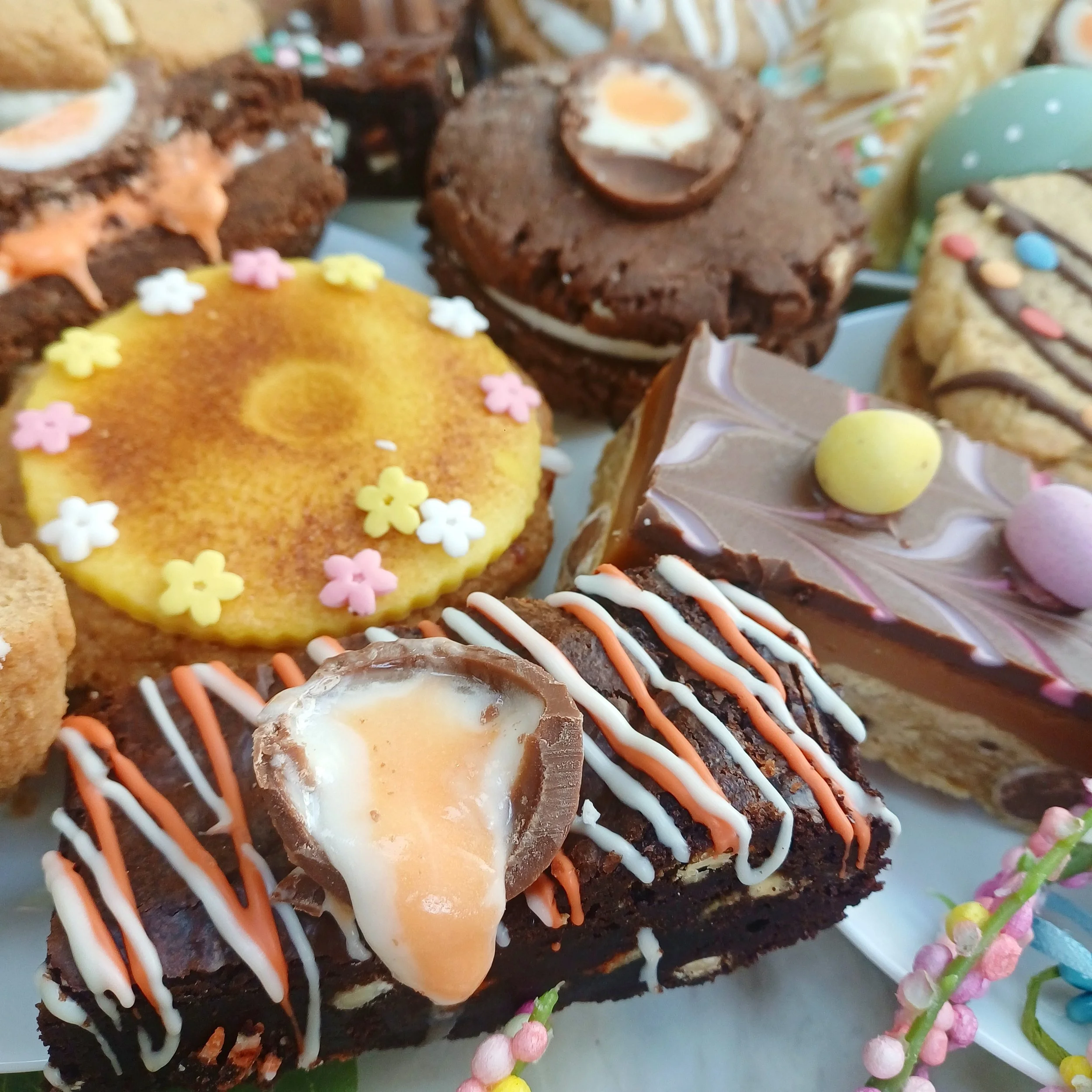 Easter range (3).jpg