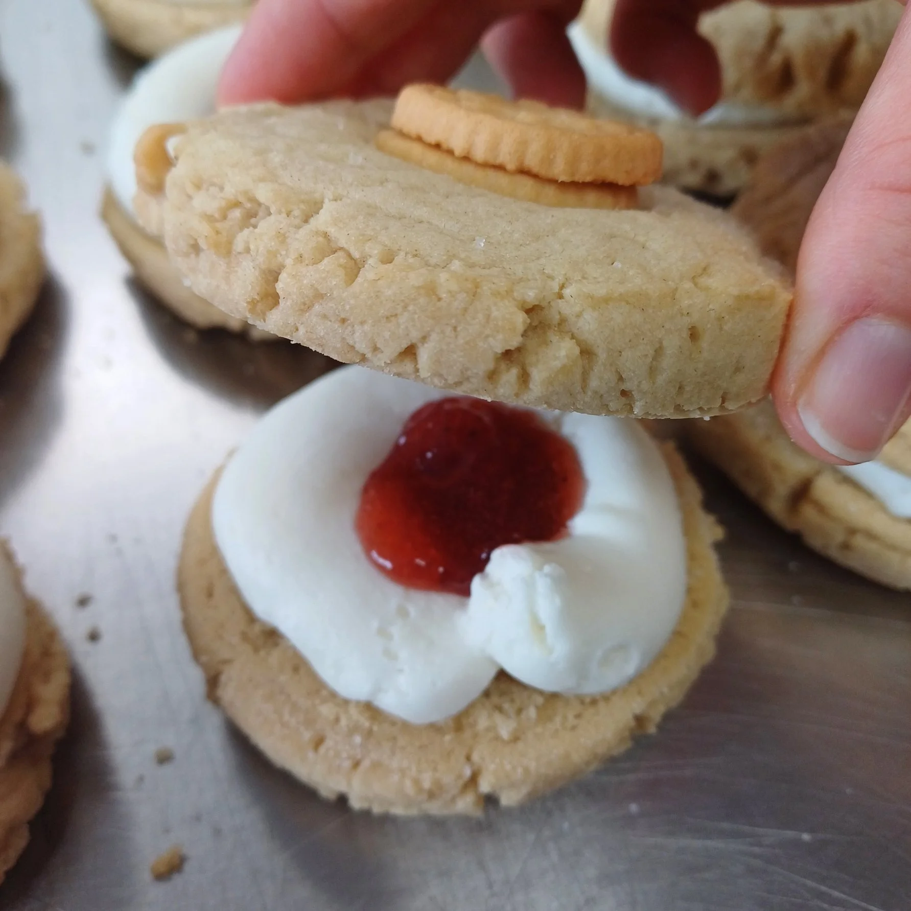 VG Jammie Dodger CSW (2).jpg