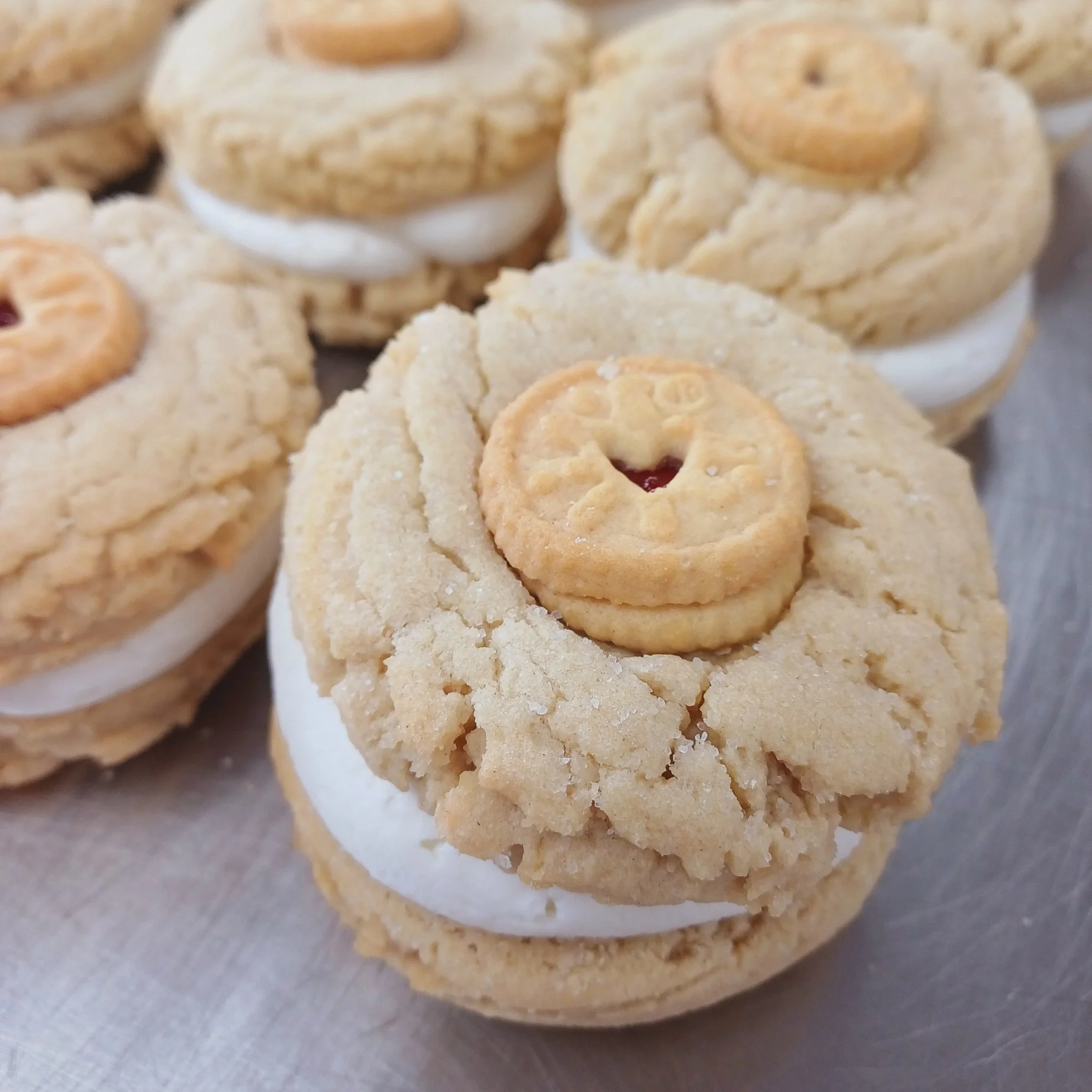 VG Jammie Dodger CSW (4).jpg