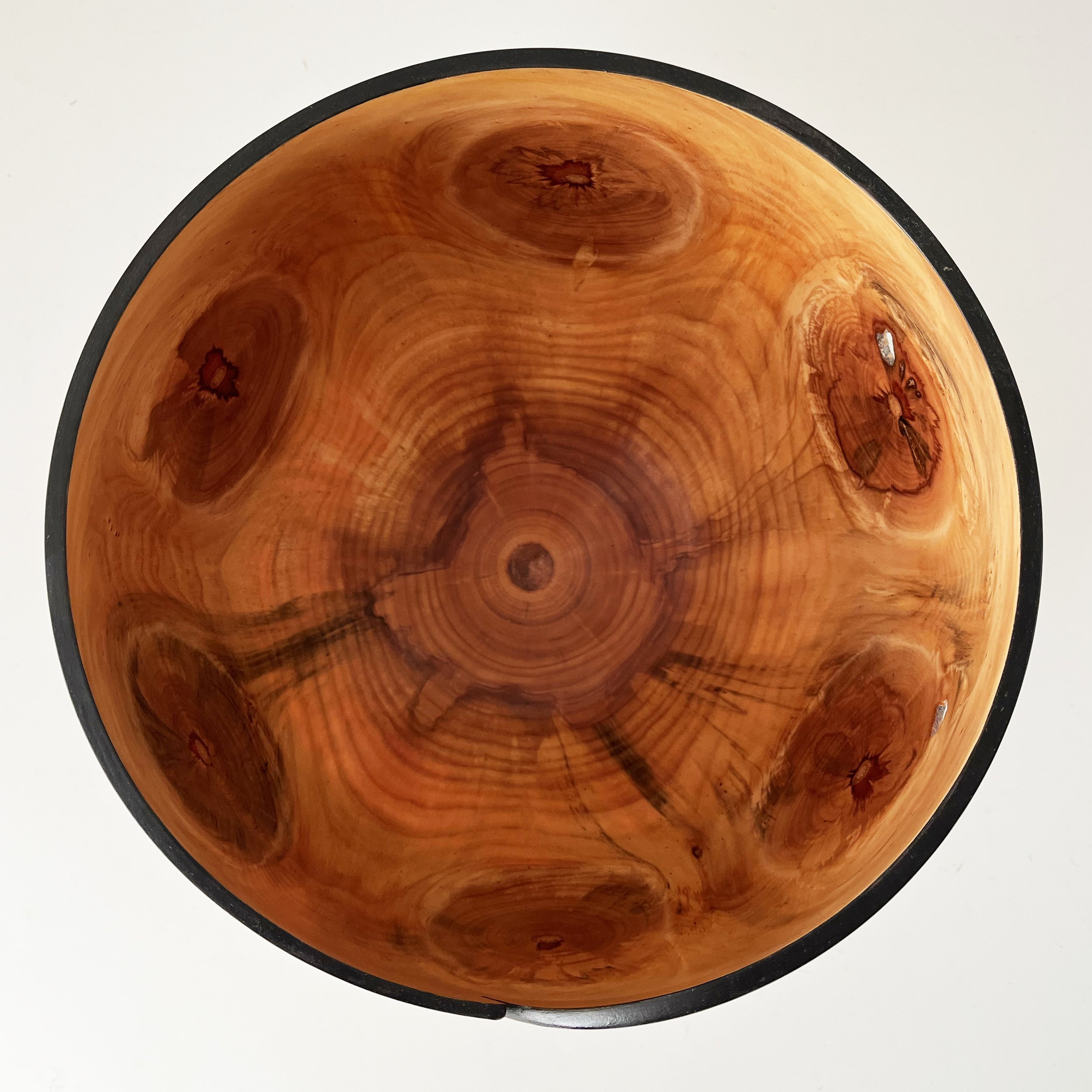 monkey-puzzle-bowl.jpeg