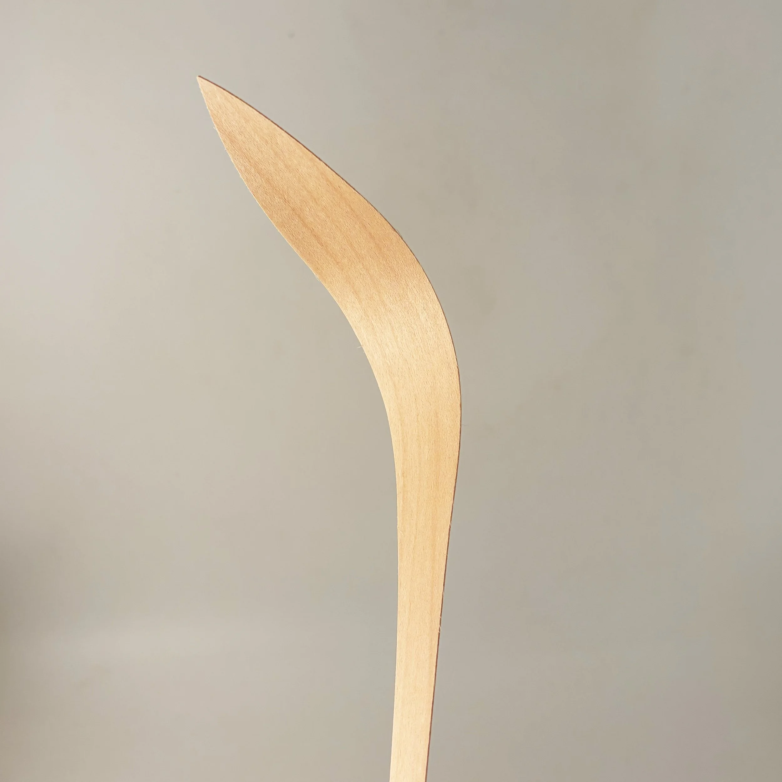 natural-wooden-veneer-leaf.jpg