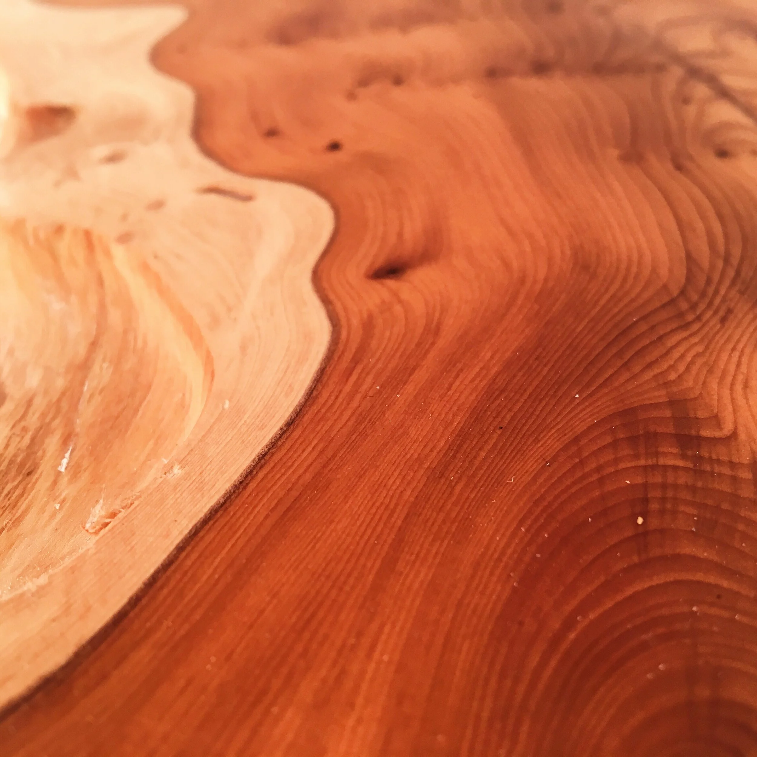 Yew — Dansel Gallery Work in Wood