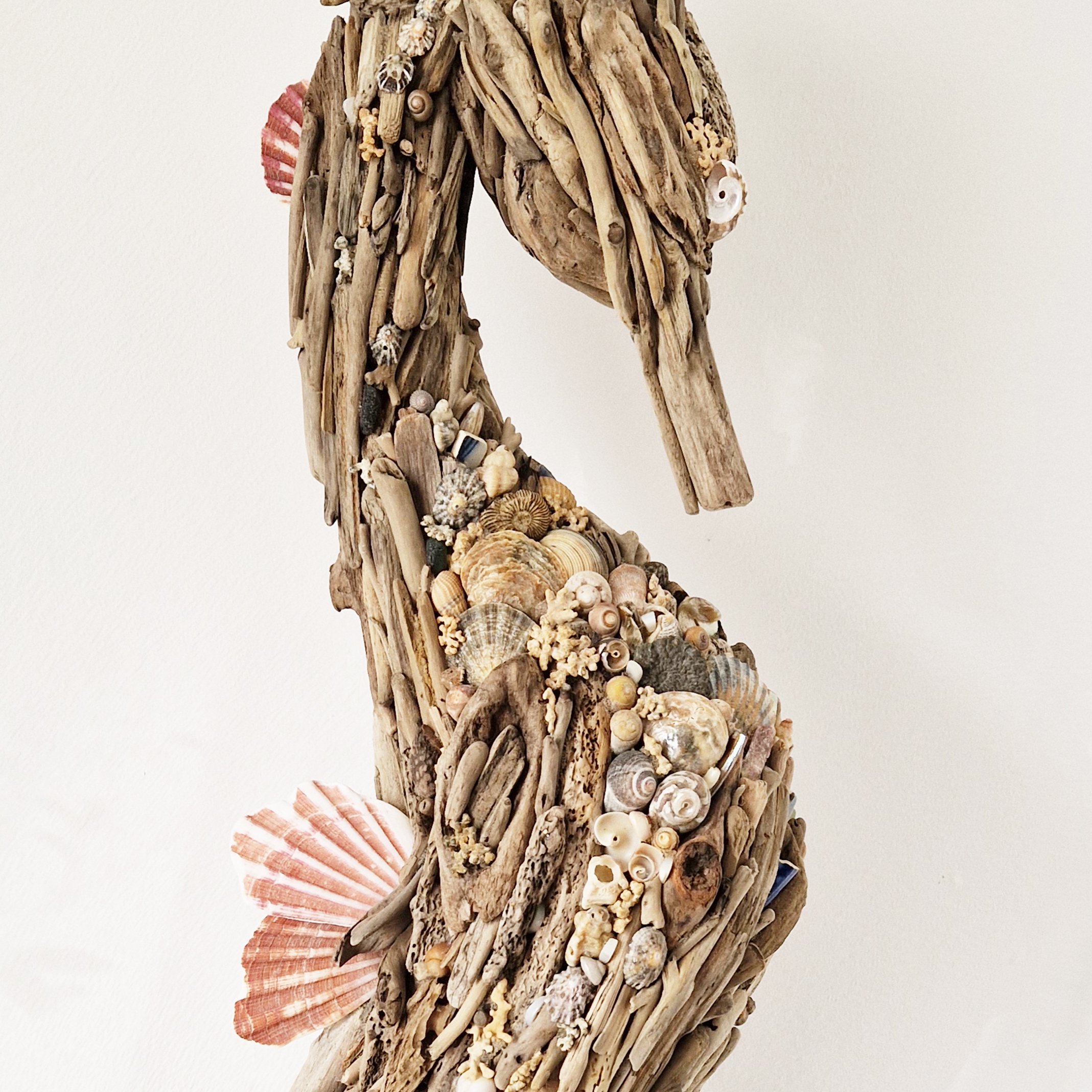 driftwood-seahorse-shells.jpg
