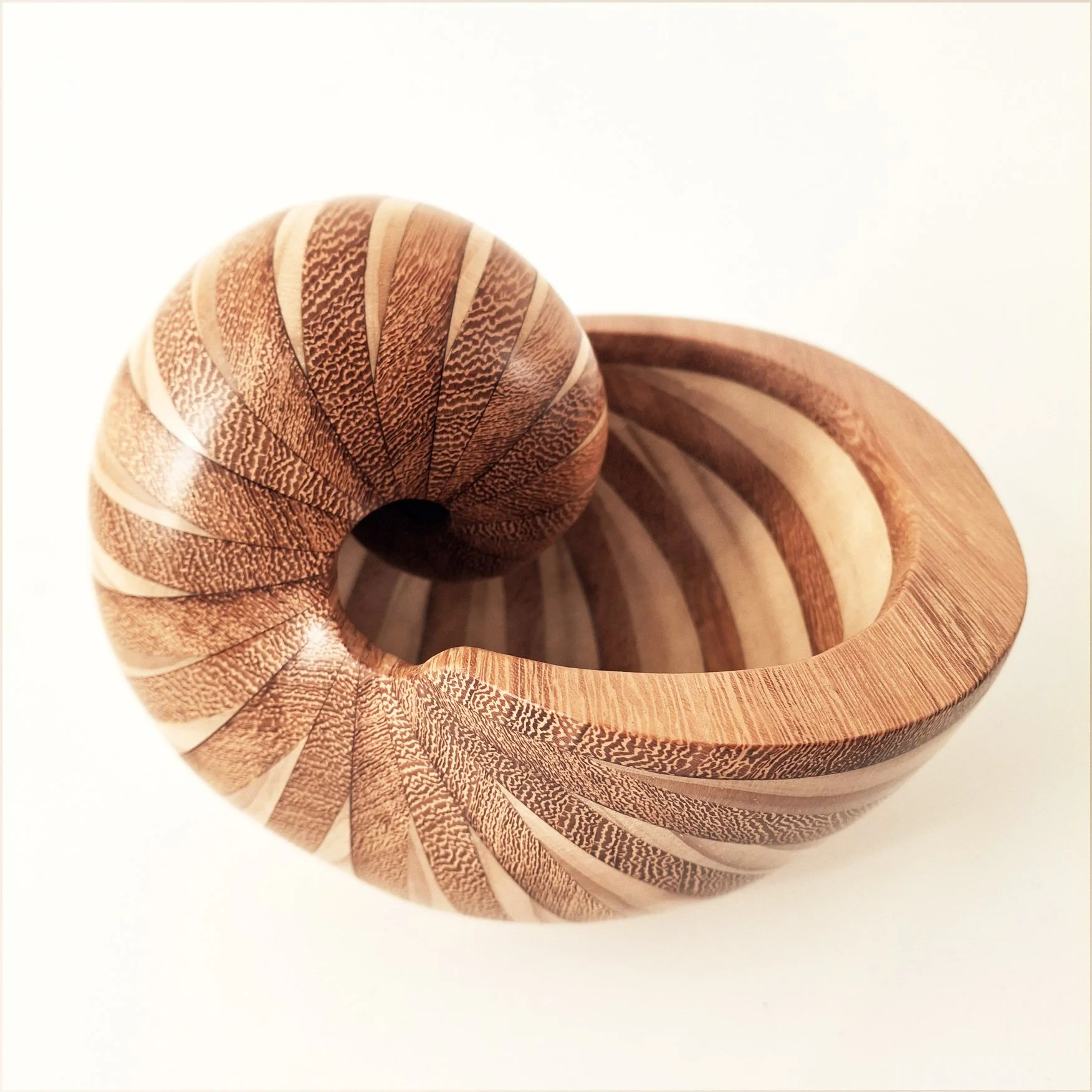 nautilus-accoya-iroko-sculpture.jpg