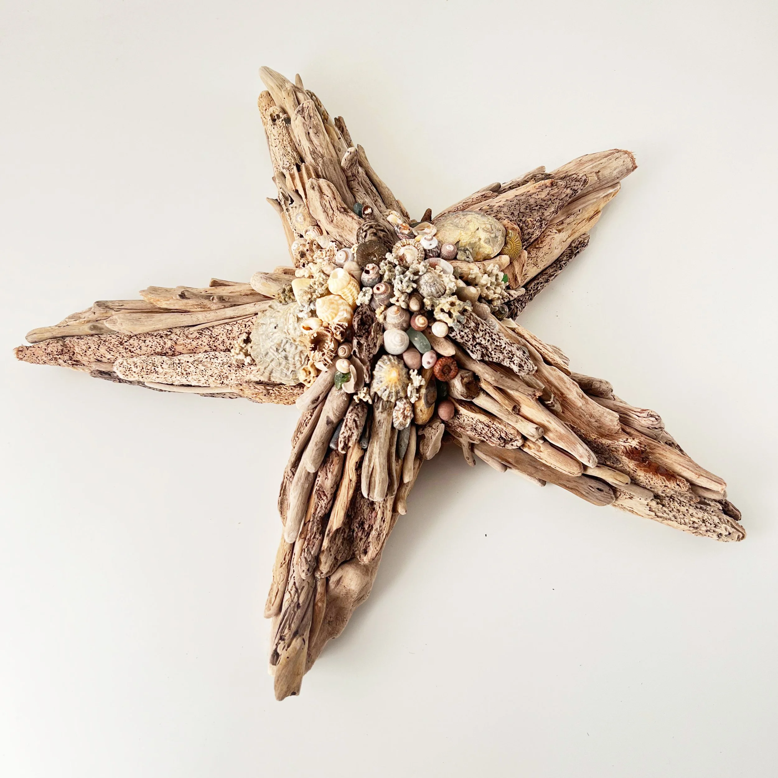 driftwood-starfish-shells.jpg