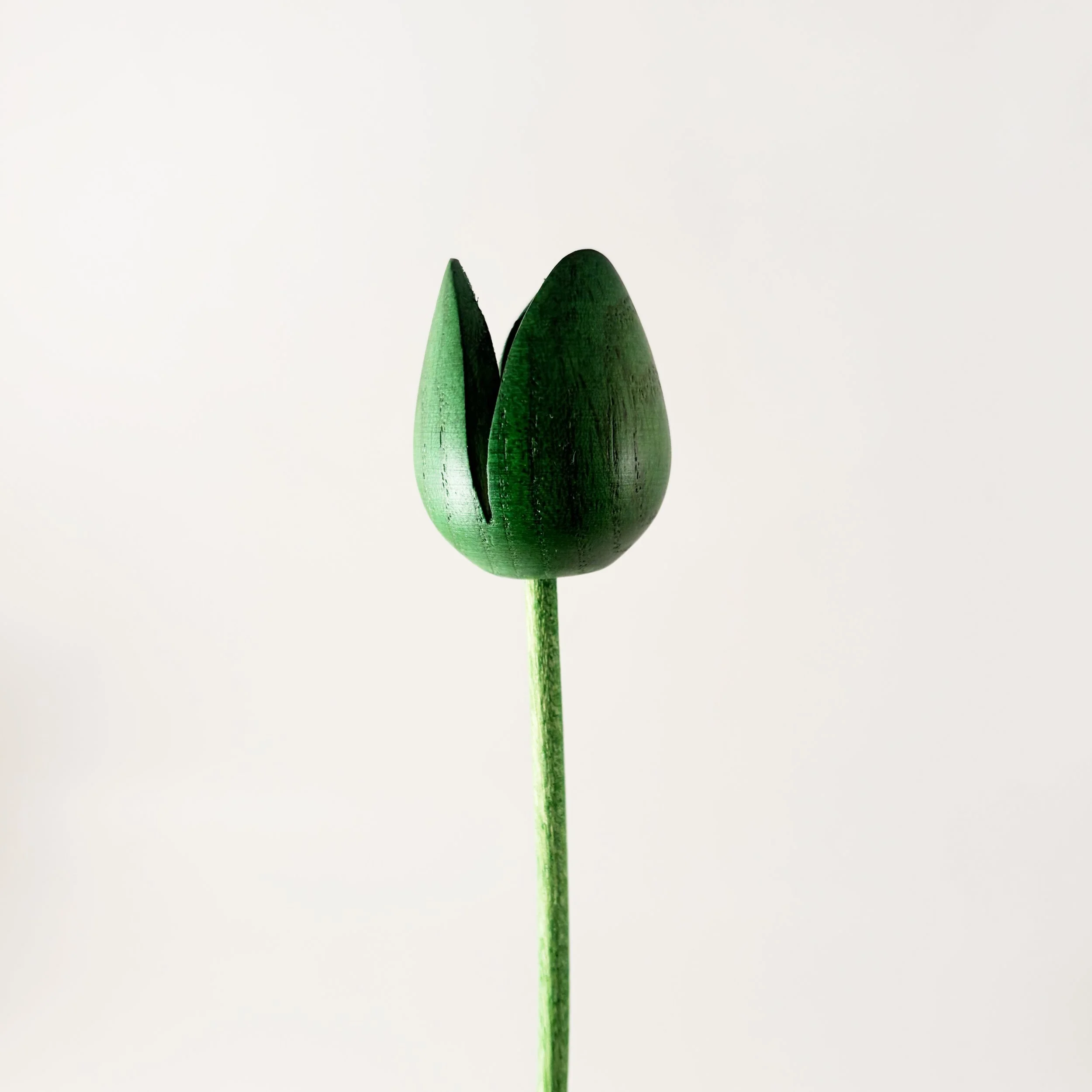 green-natural-wooden-tulip.jpg