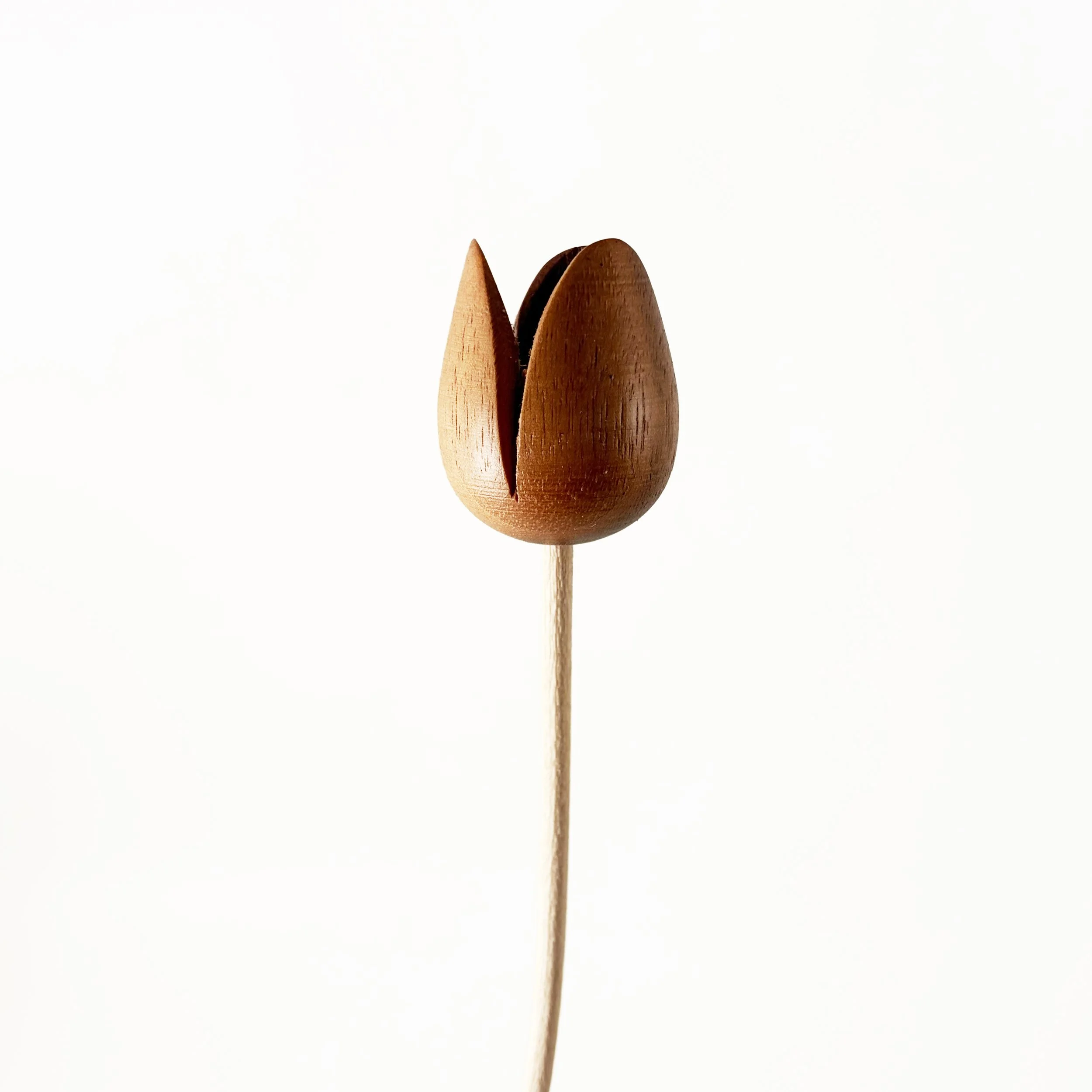 dark-natural-wooden-tulip.jpg
