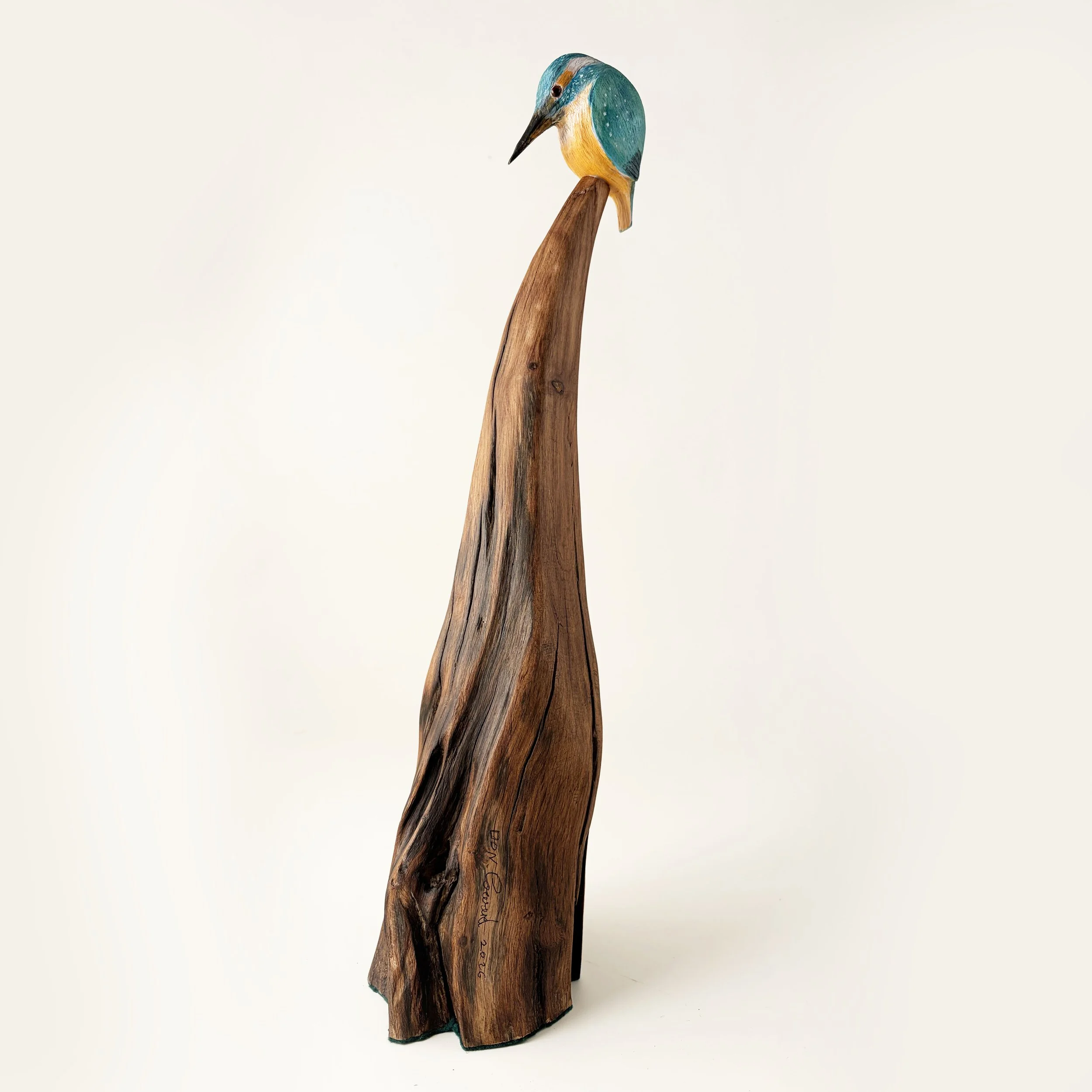 kingfisher-pine-oak.jpg