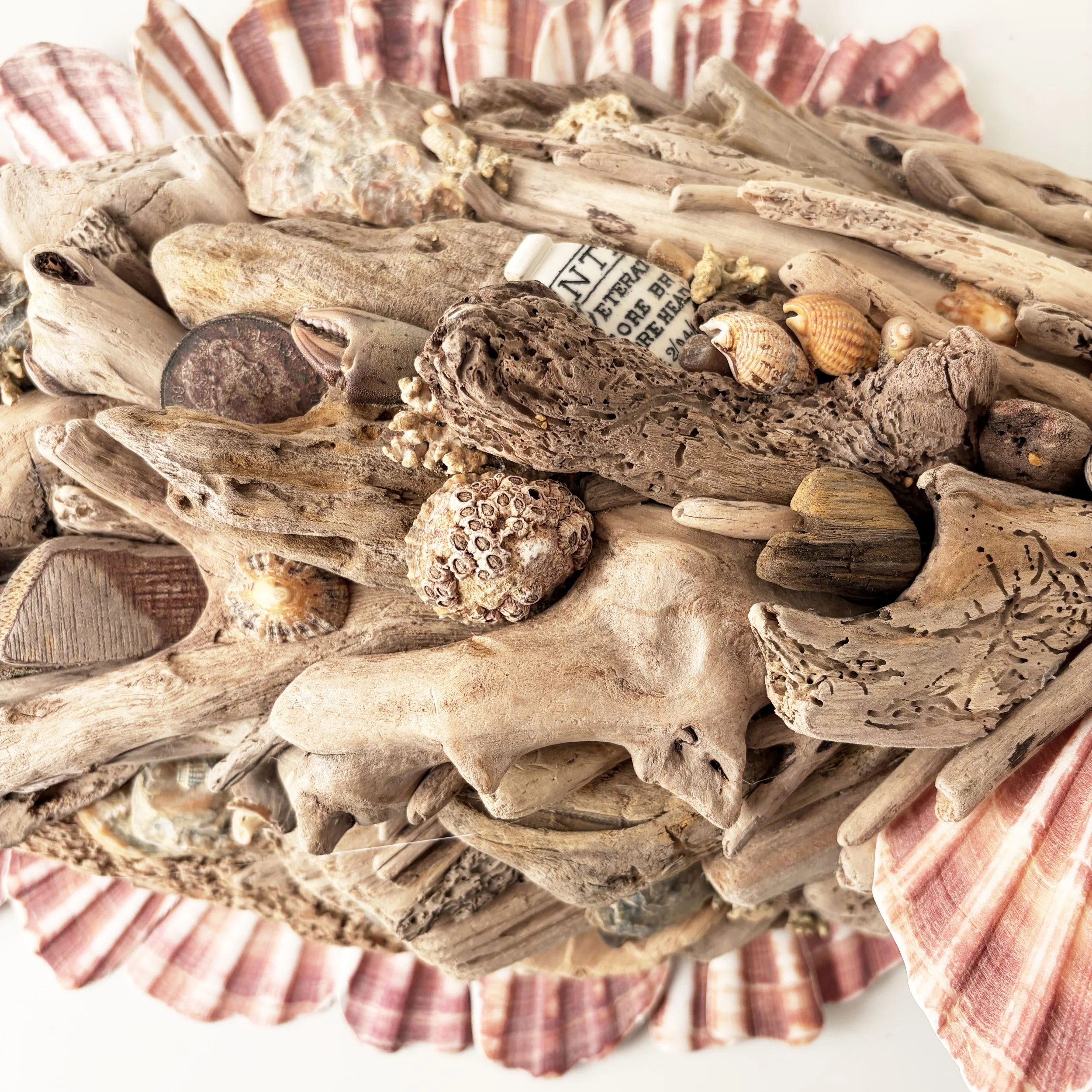 driftwood-fish-wall-art-shells.jpg