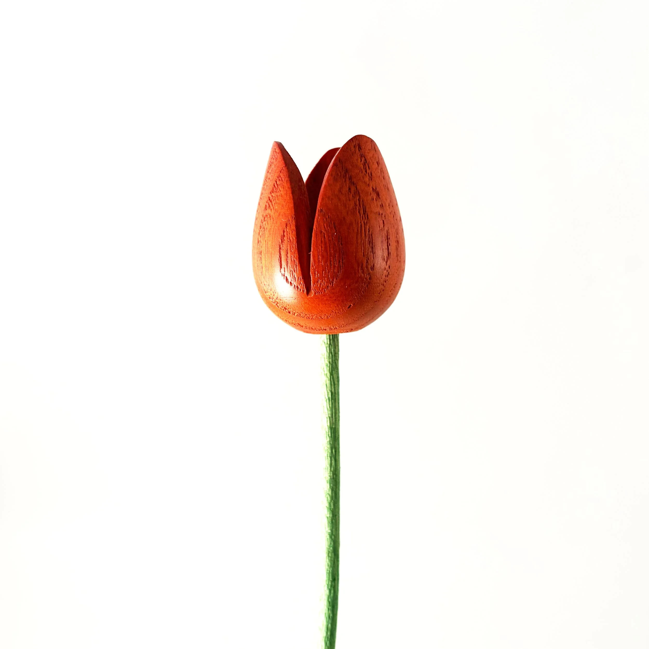 orange-wooden-tulip.jpg