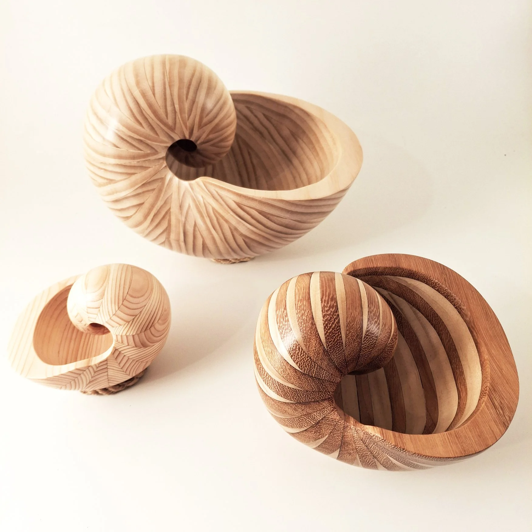 wooden-nautilus-mixed woods.jpg