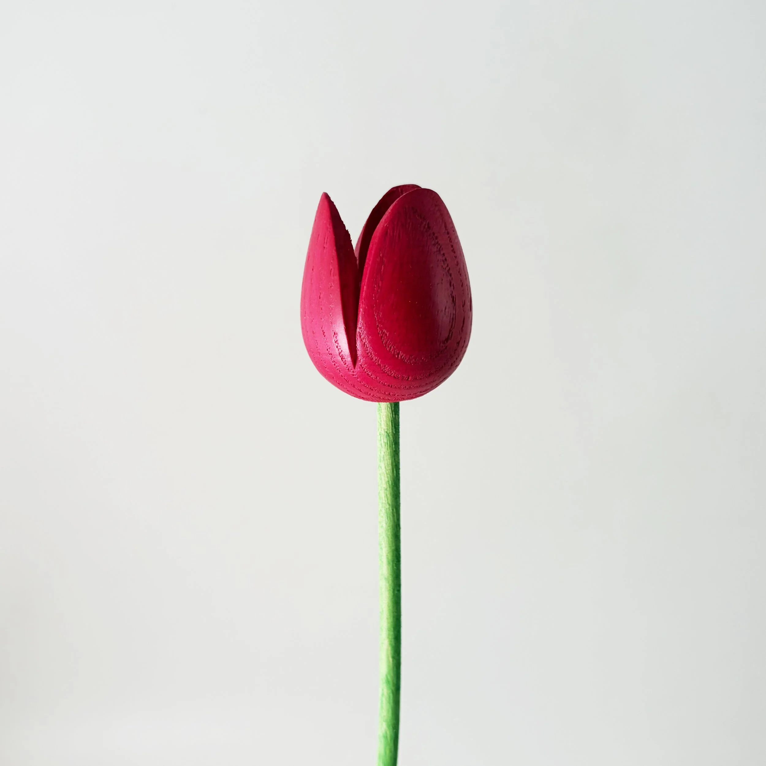 pink-natural-wooden-tulip.jpg