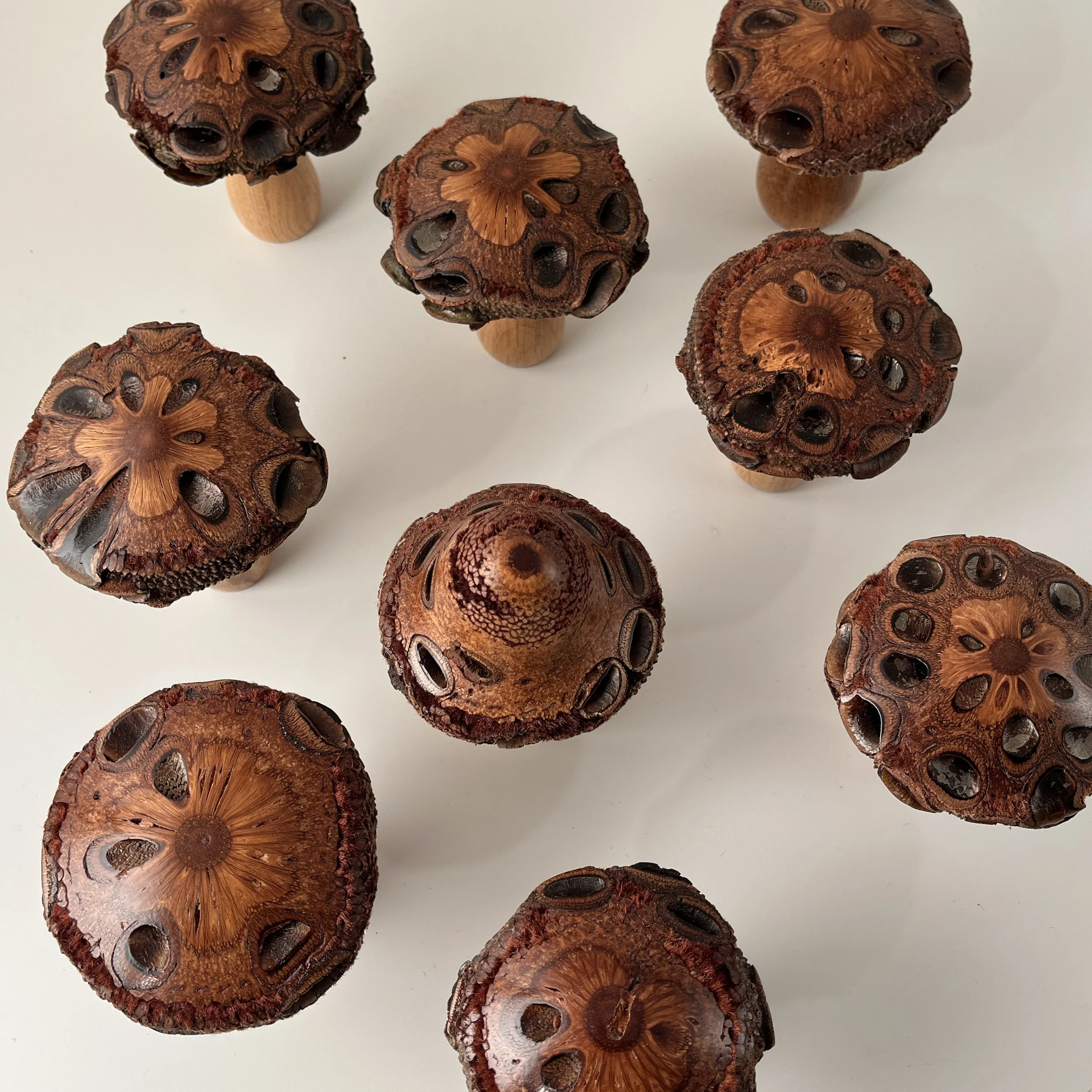 banksia-oak-mushrooms-ornament.jpg