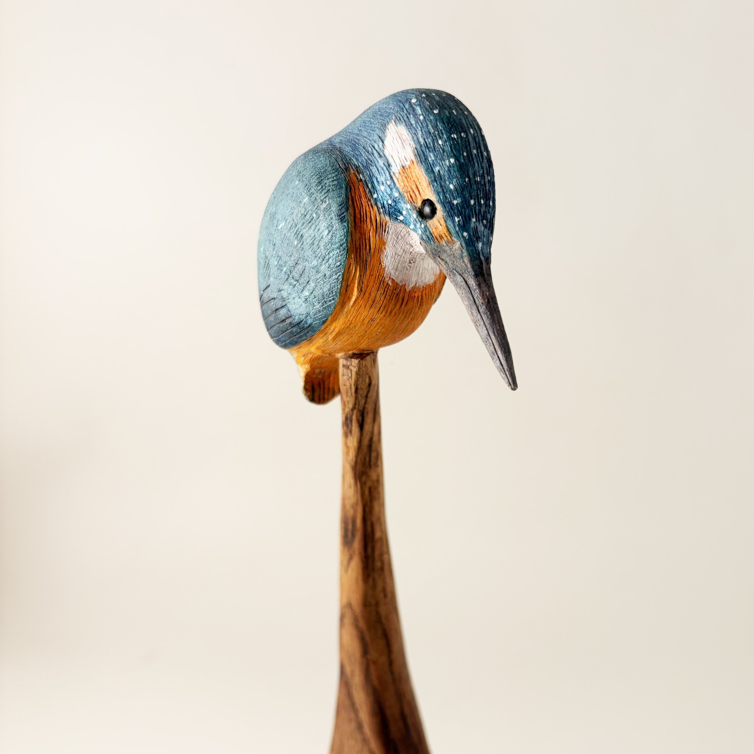 painted-kingfisher-lime.jpg