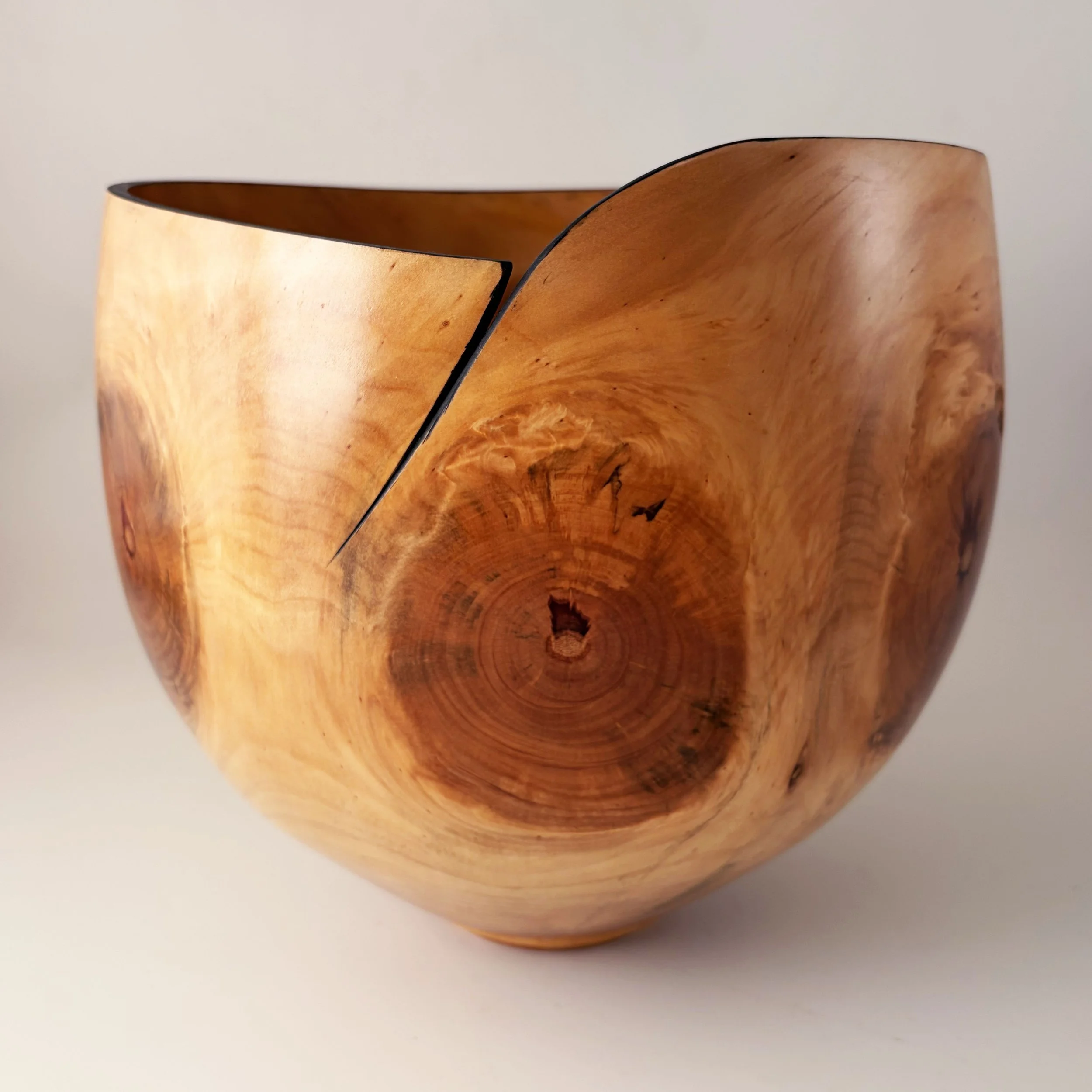 Monkey Puzzle Bowl