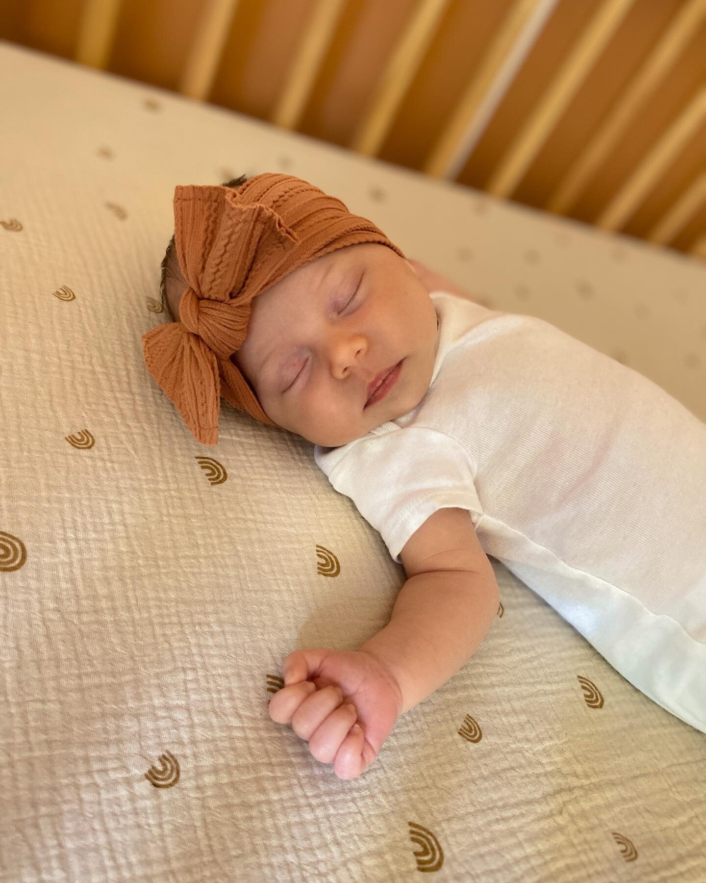 Meet the newest addition to the Verosie Team, studio manager, Rosie Jude! 🎀 She may be small BUT she&rsquo;s mighty and now completely dictates my schedule&hellip; LITERALLY.

You may be wondering and yes, her name is oh so similar to the studio&rsq