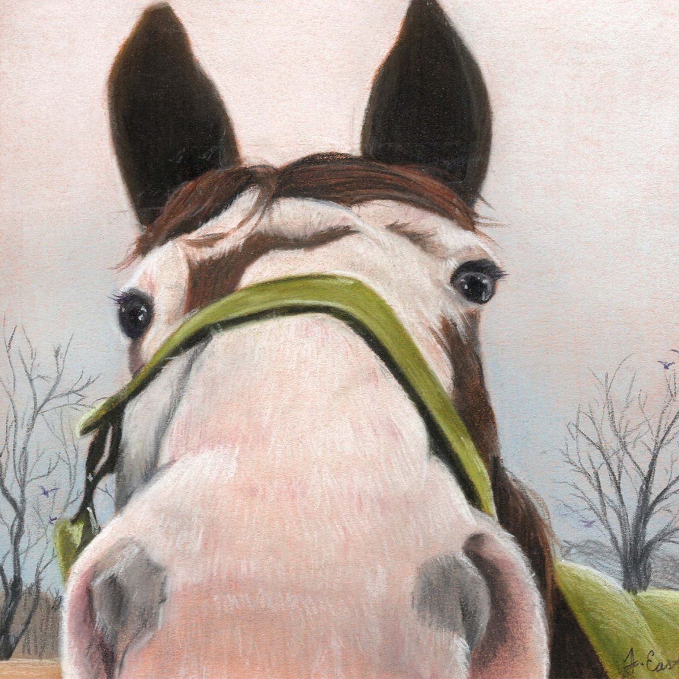 horse selfie .jpg
